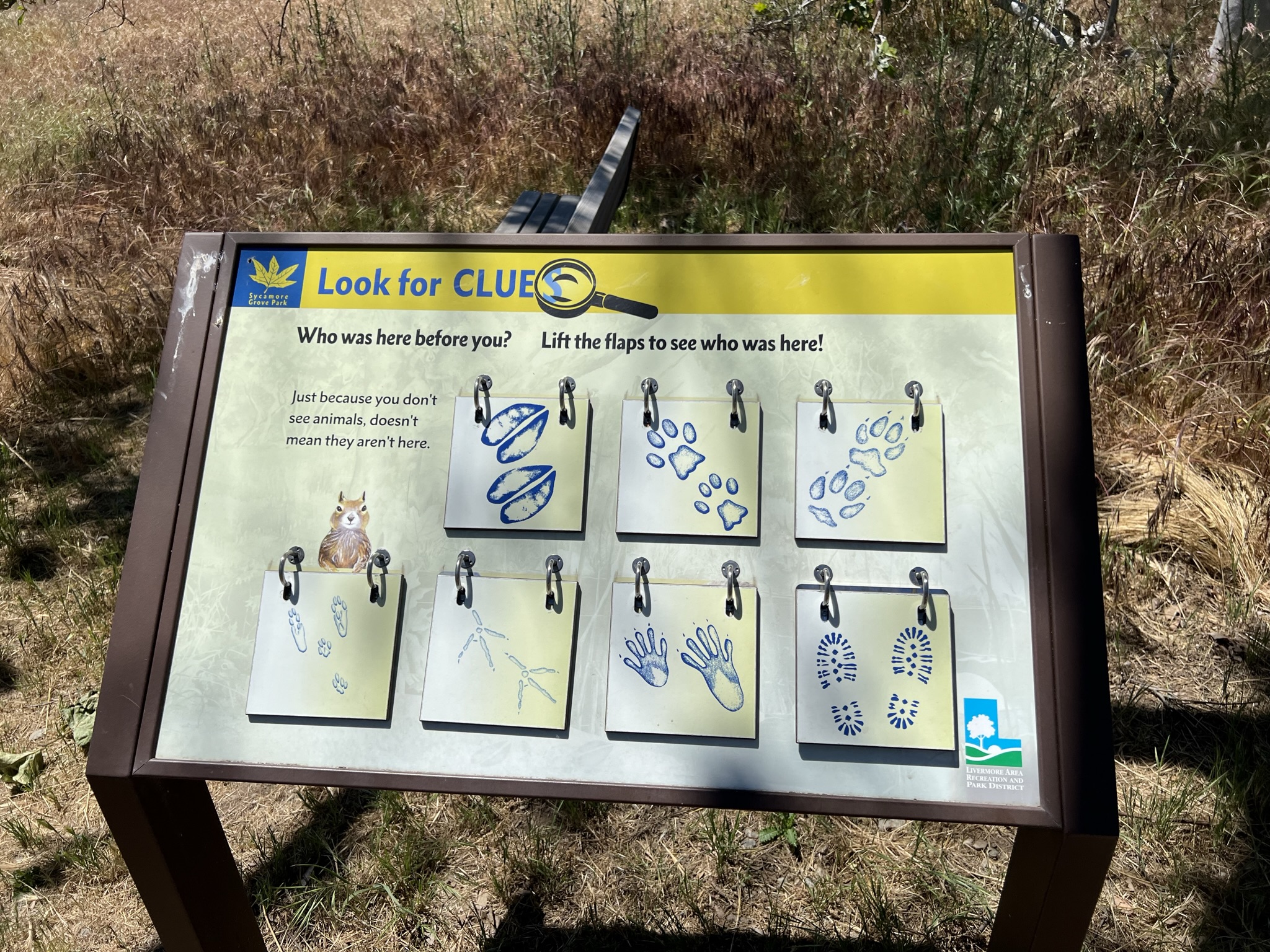 各种动物的脚印