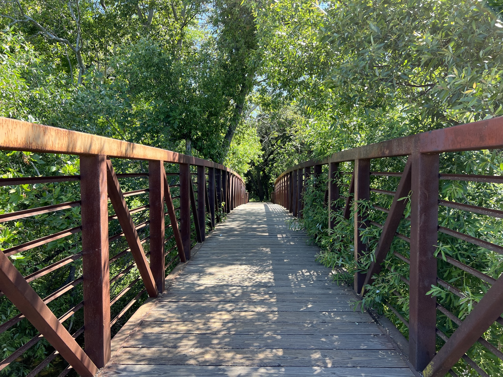 Alamitos Creek 上的桥