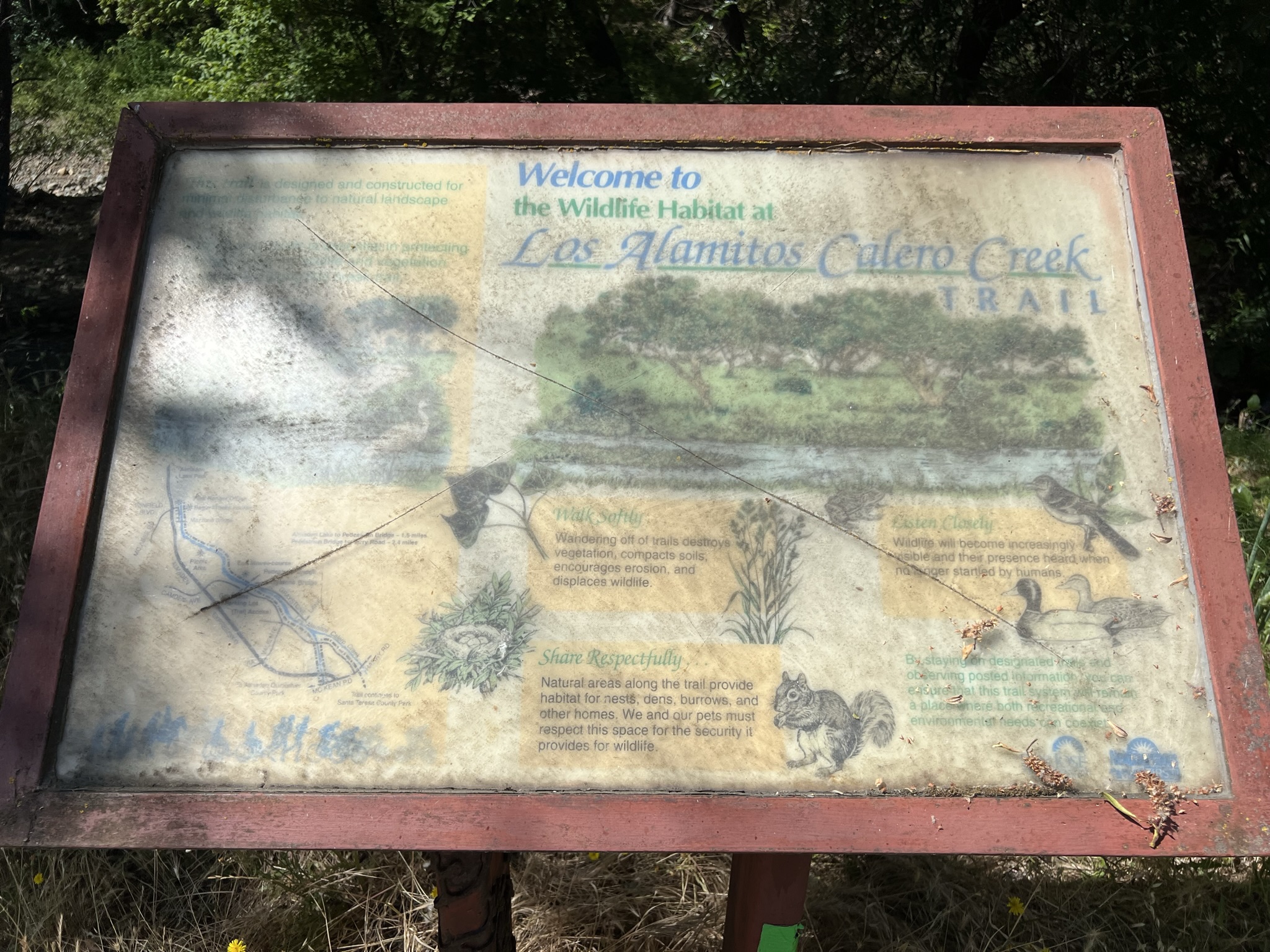 路上可能会有的动物