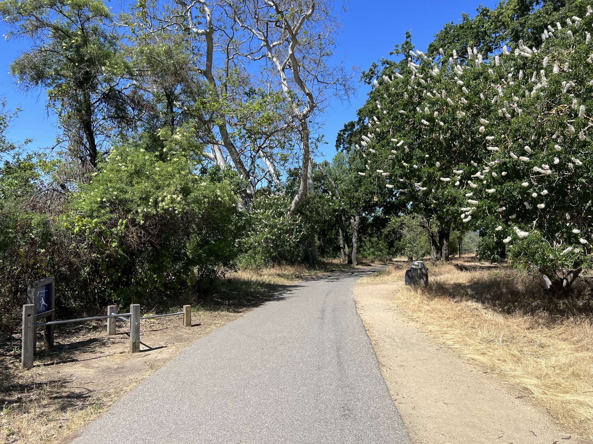 水泥铺好的步道
