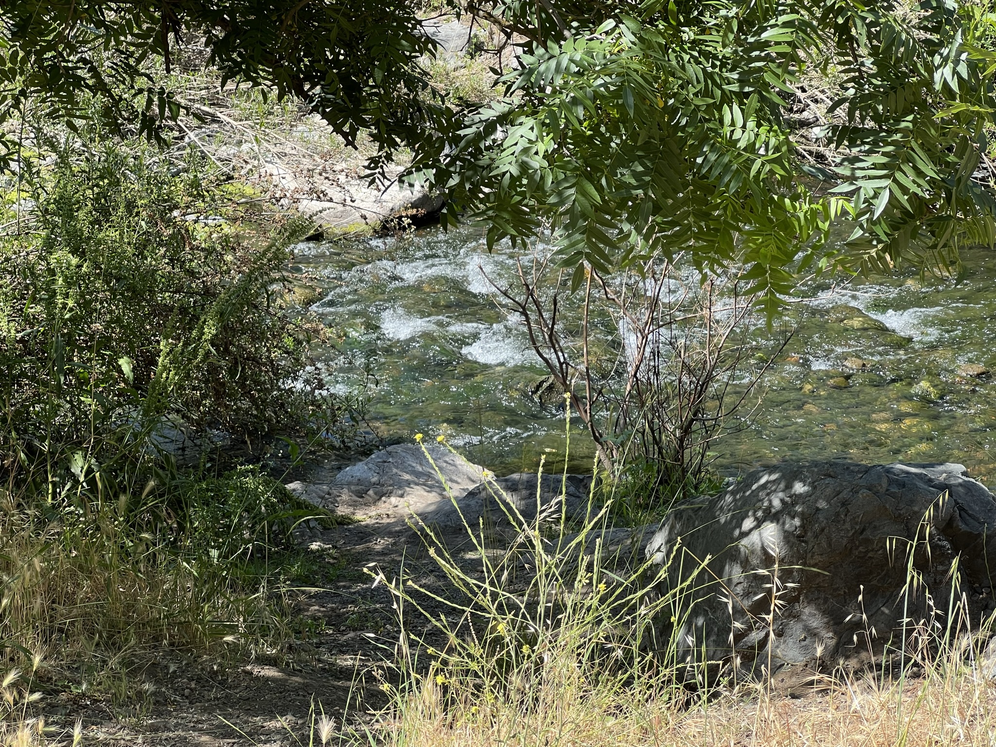 可以下去到 Creek 旁