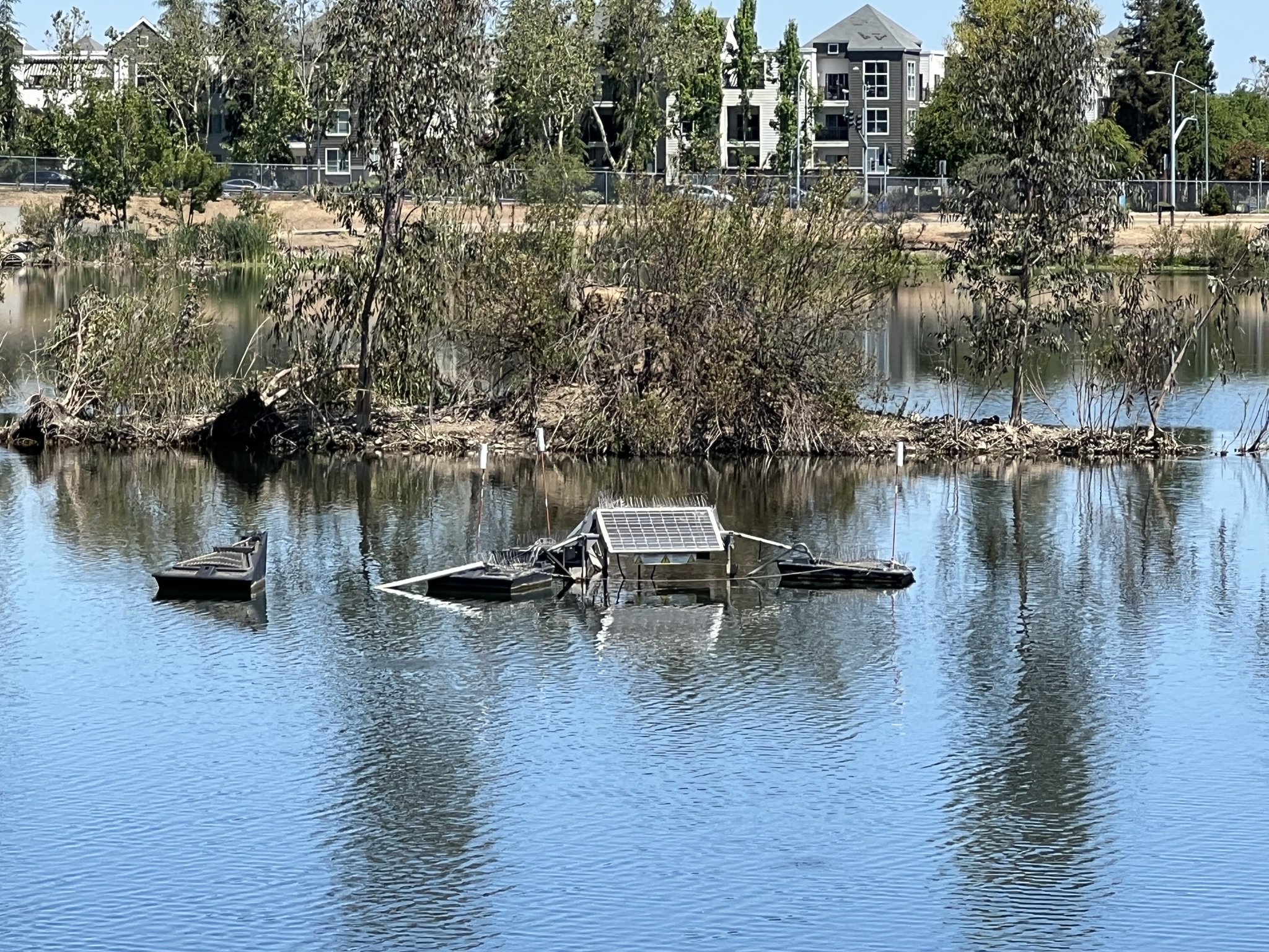 湖中的太阳能板