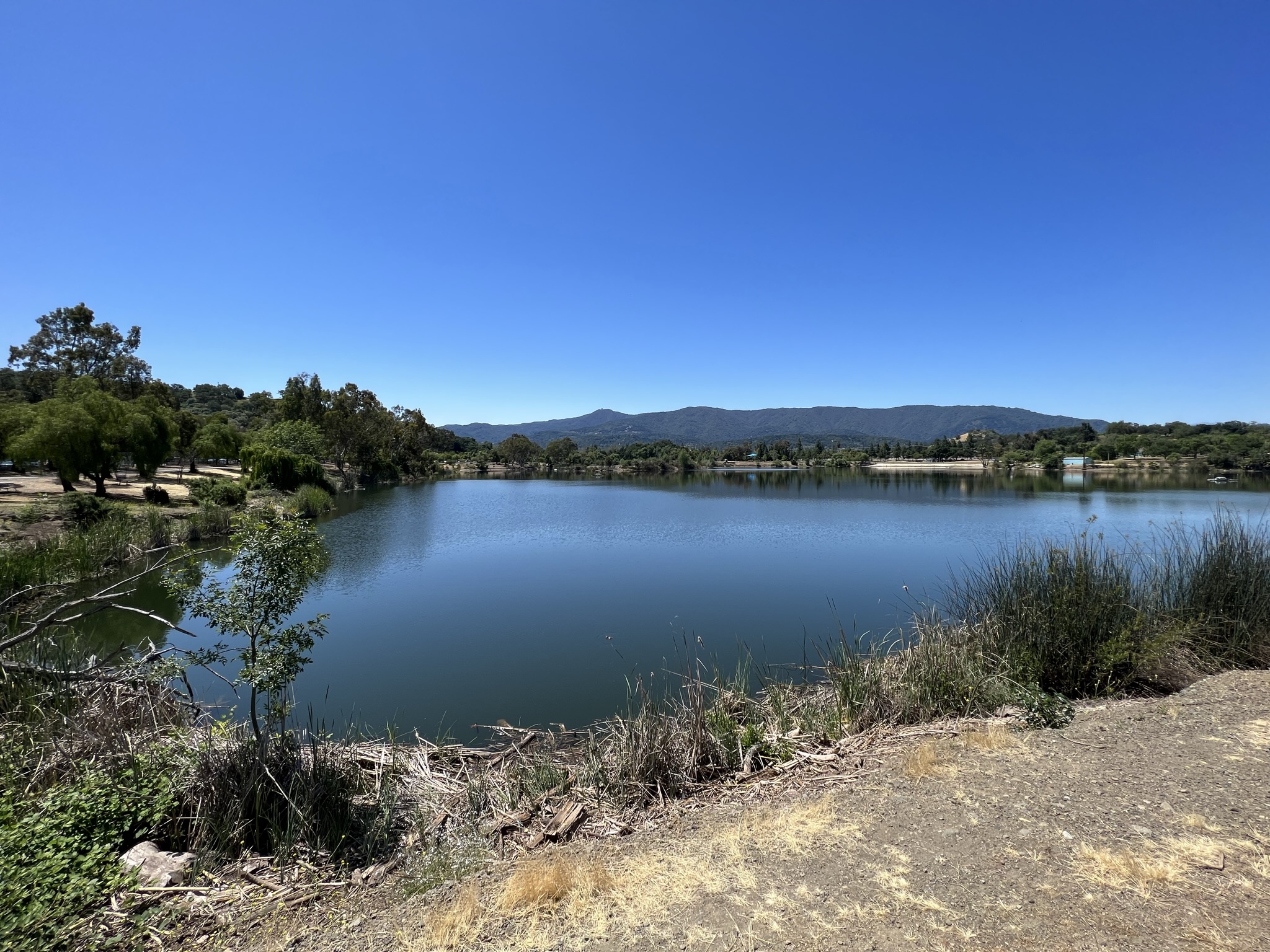 Almaden Lake