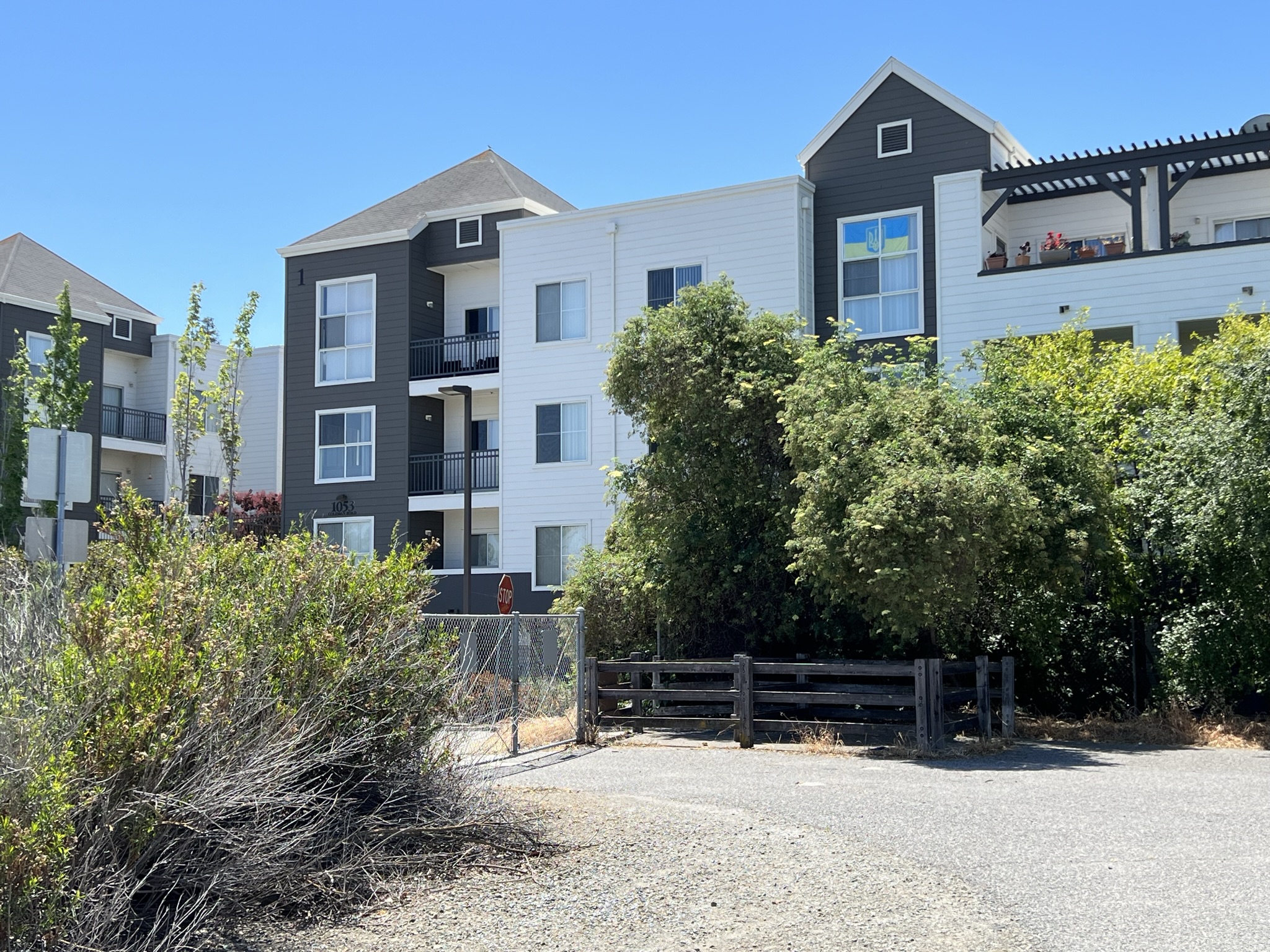 Almaden Lake Park 旁边的公寓