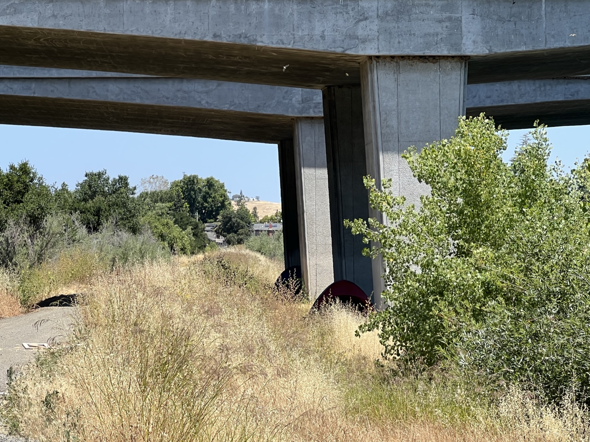 桥墩下住着街友