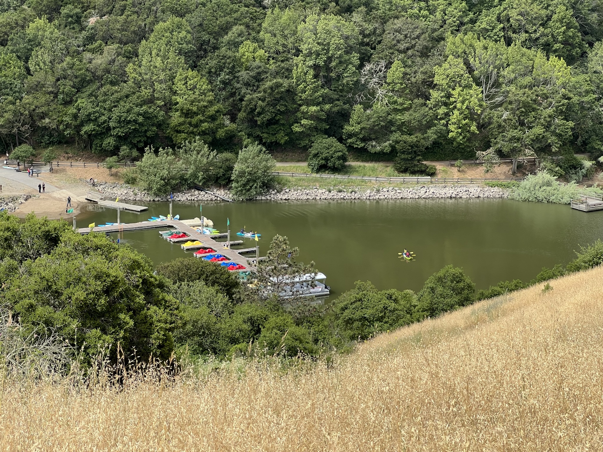 今天划船的人不少