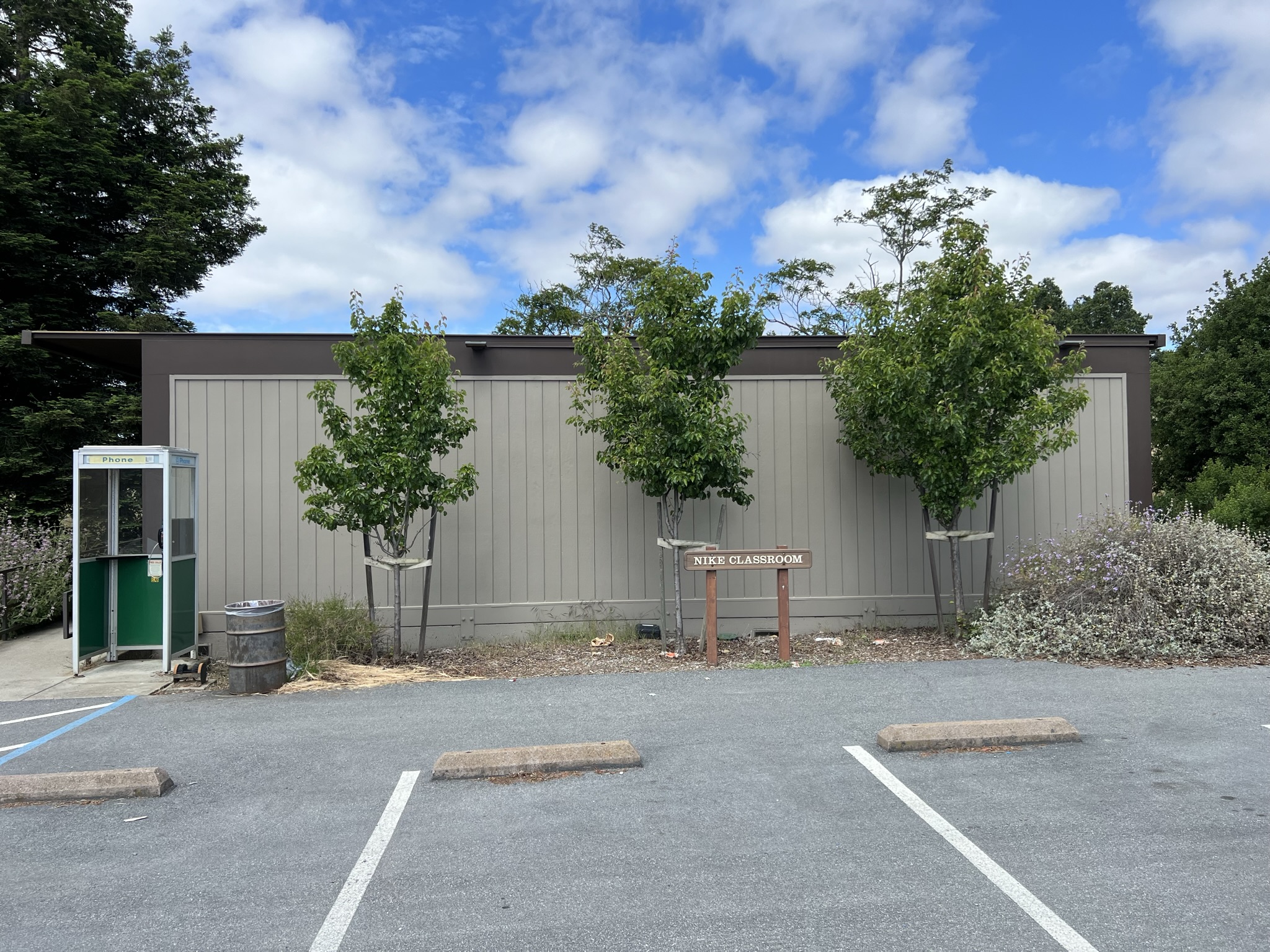 Nike，好像是美国以前的一个导弹计划