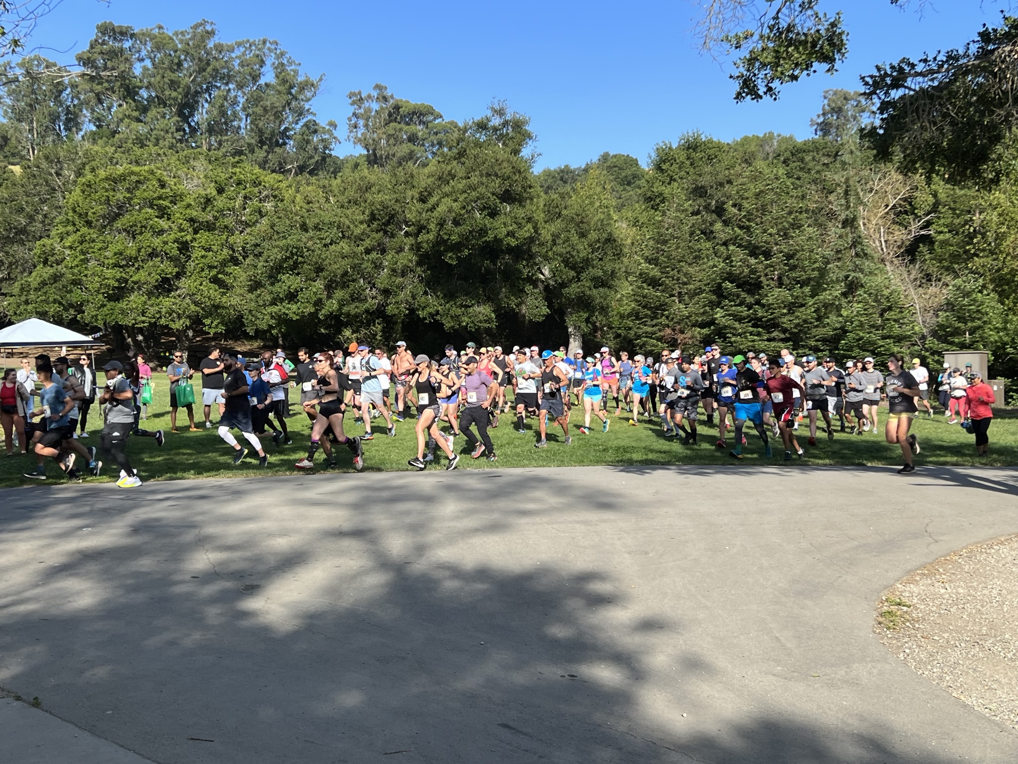 半马的选手出发了