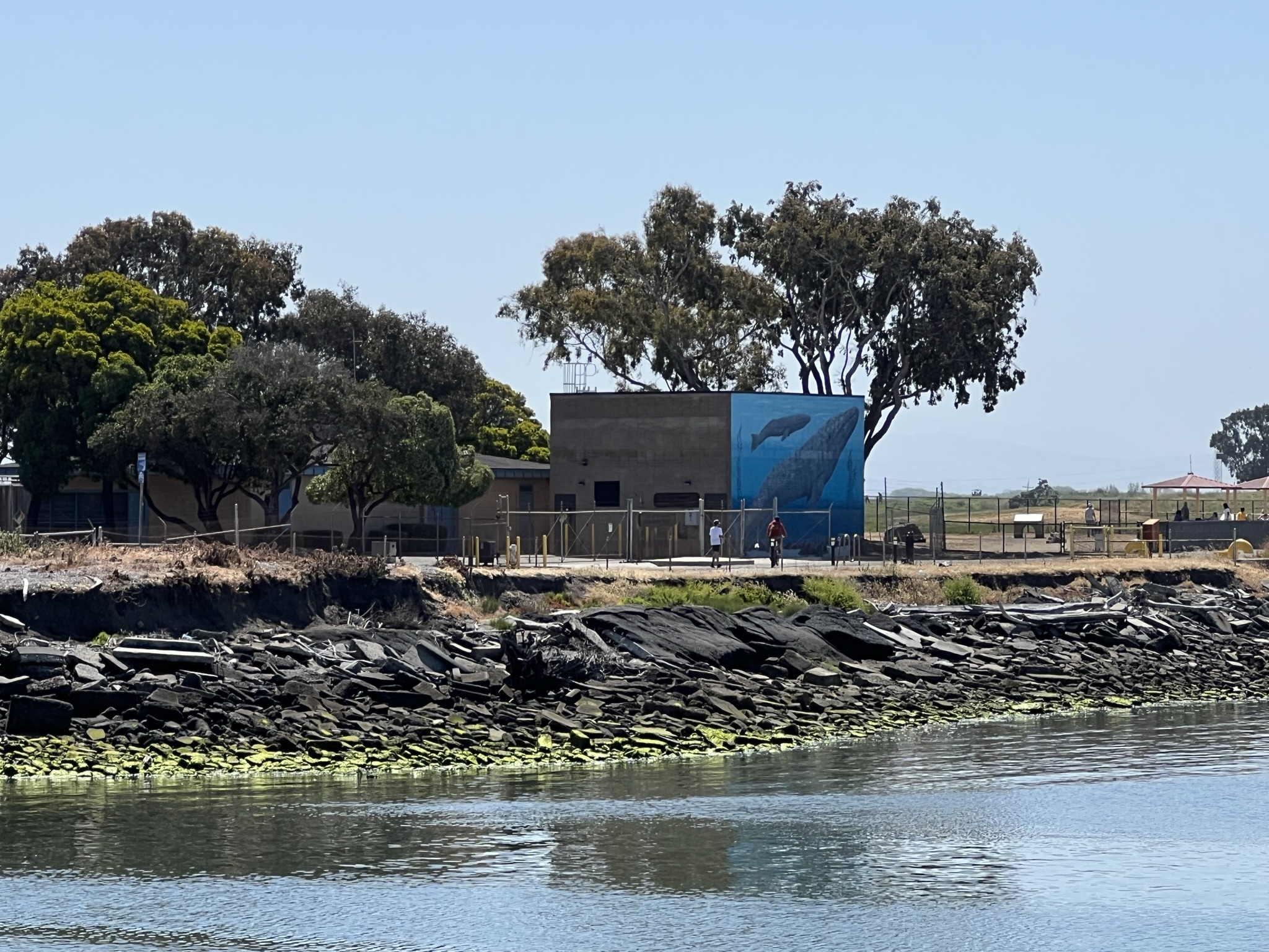 这个类似的壁画在之前见过