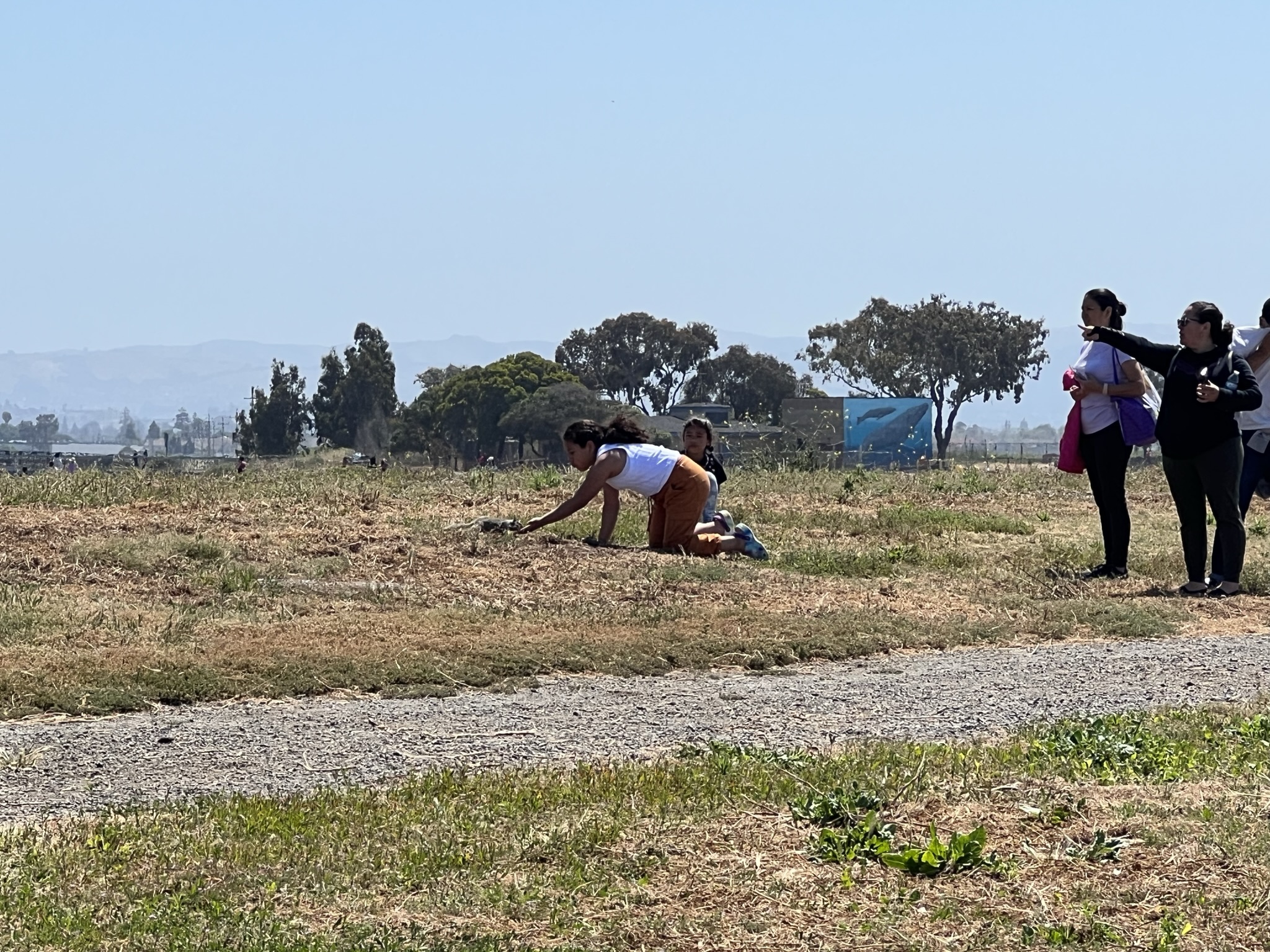 不要投喂野生动物