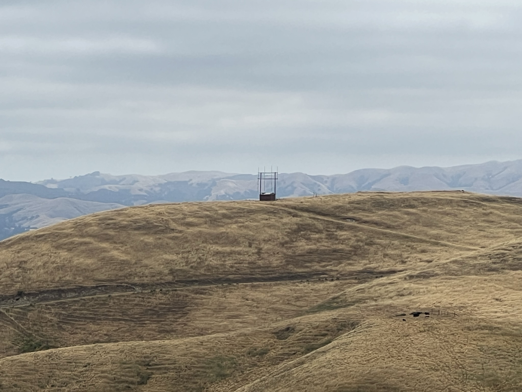 不晓得对面山包上的是个啥
