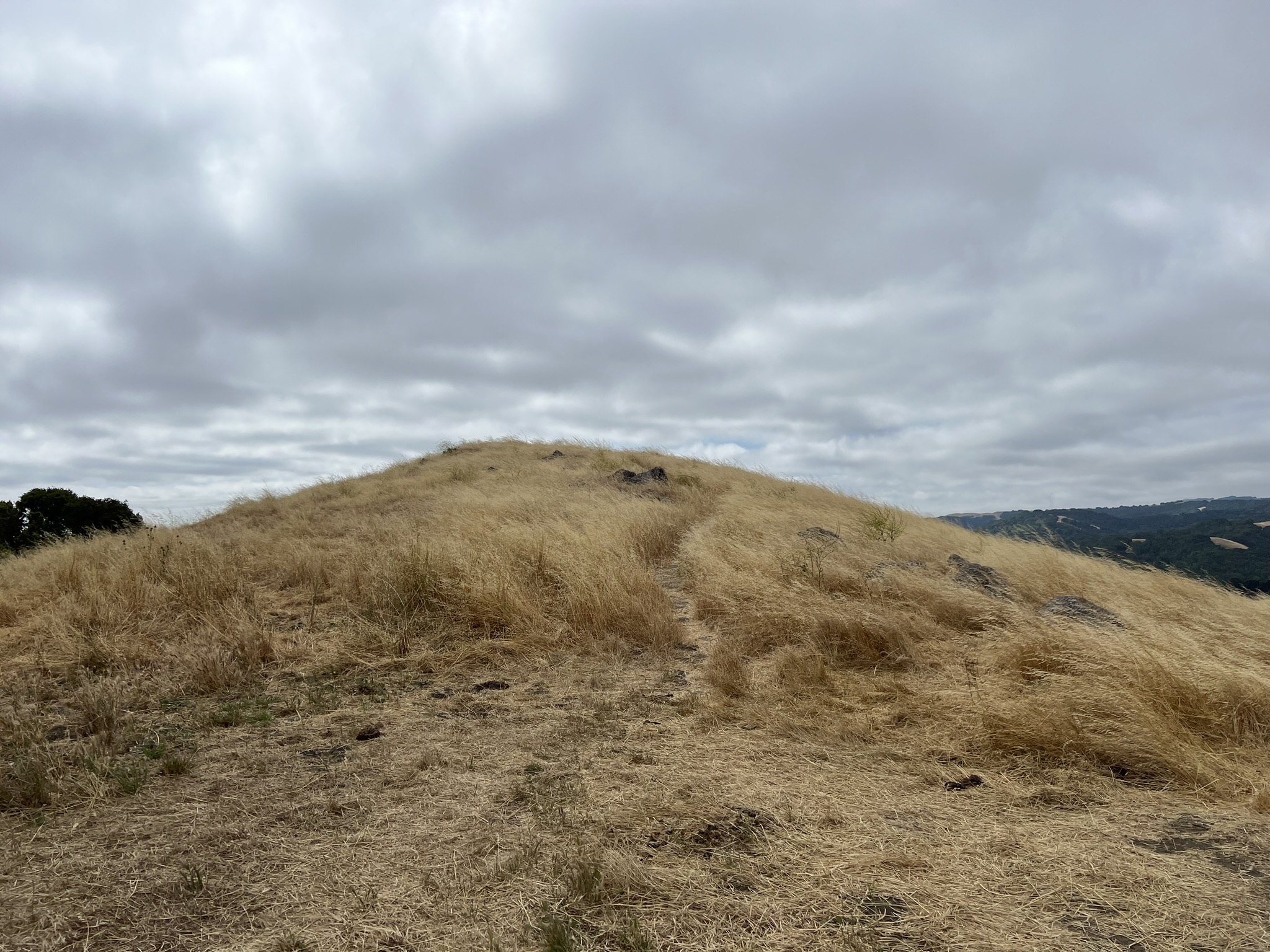 这不是一条步道