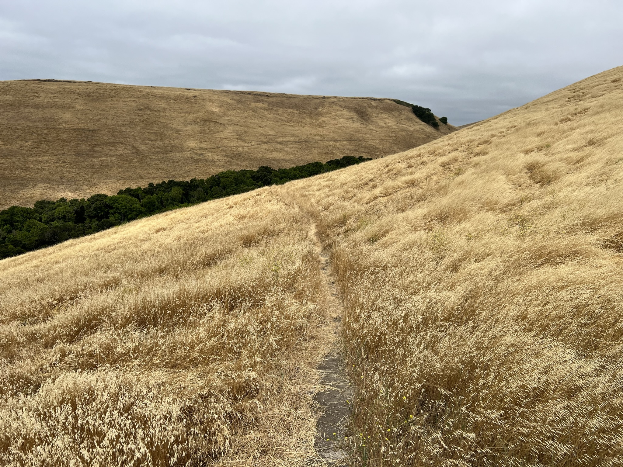 没什么人走的狭长步道