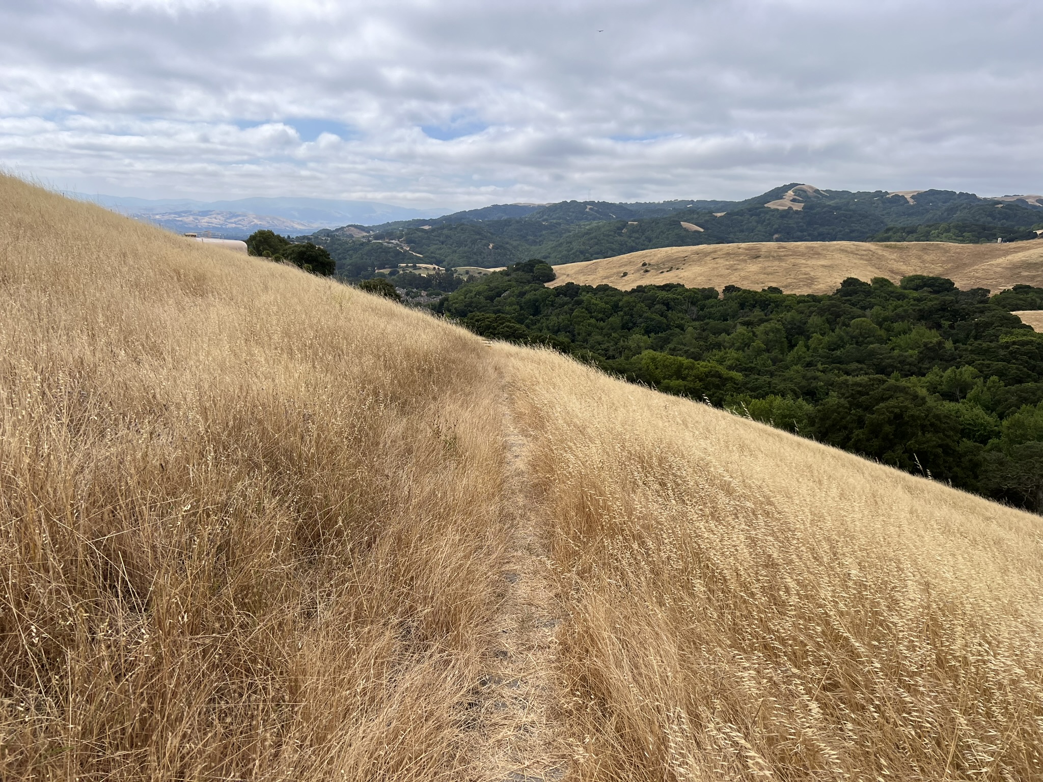 没什么人走的狭长步道