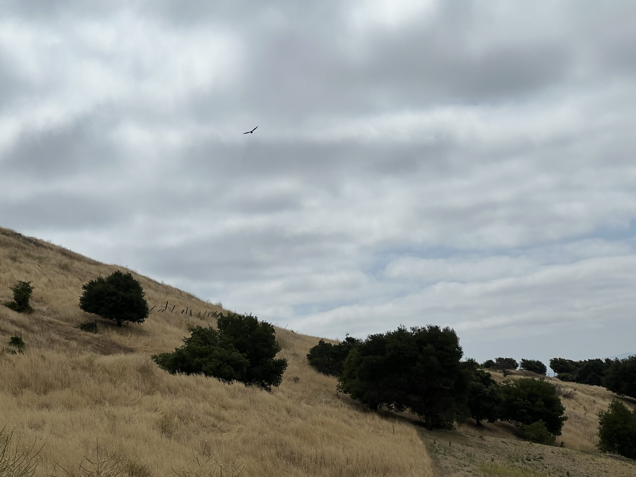 步道都不是很鲜明