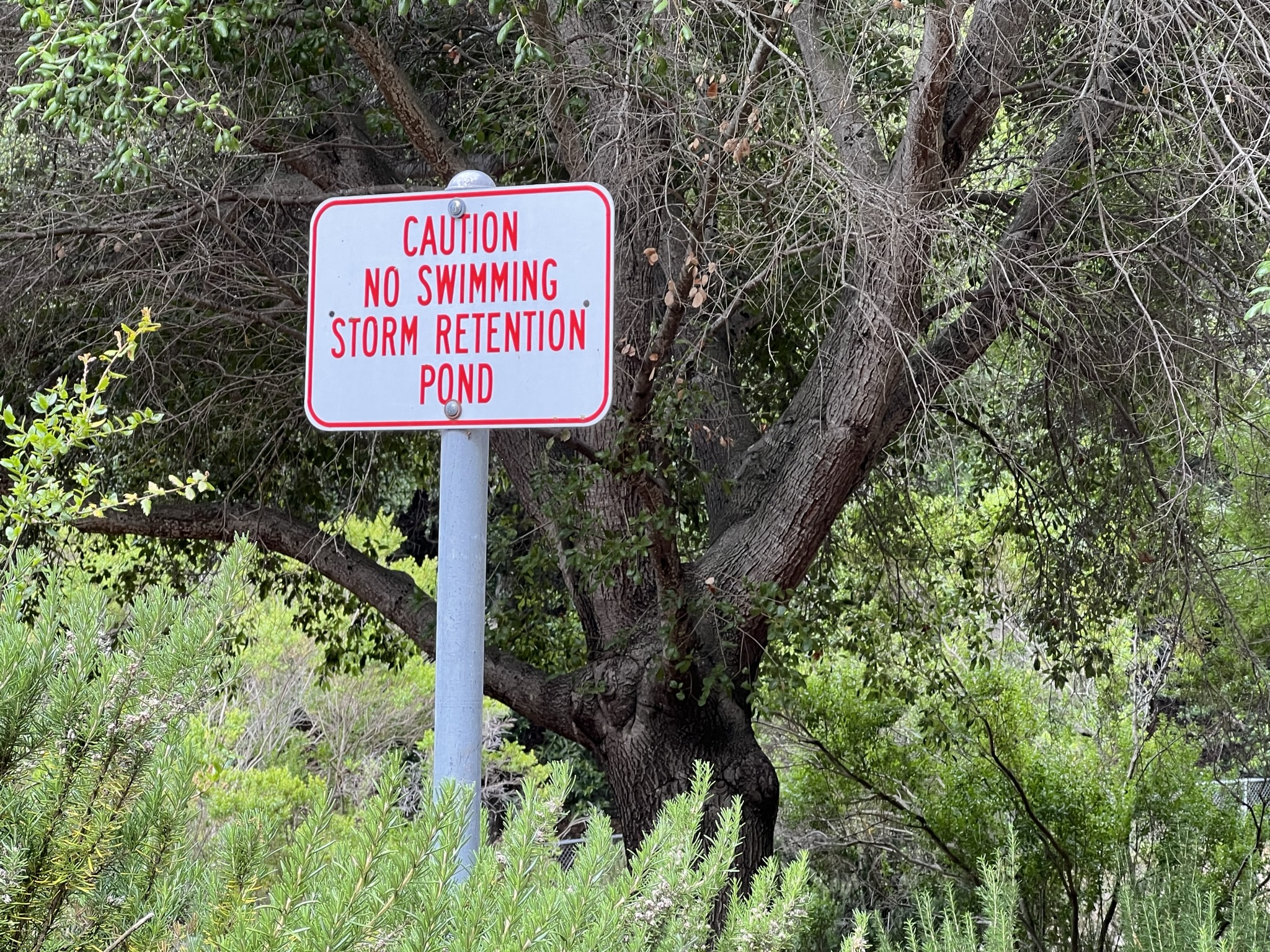 这个是用于风暴蓄水的