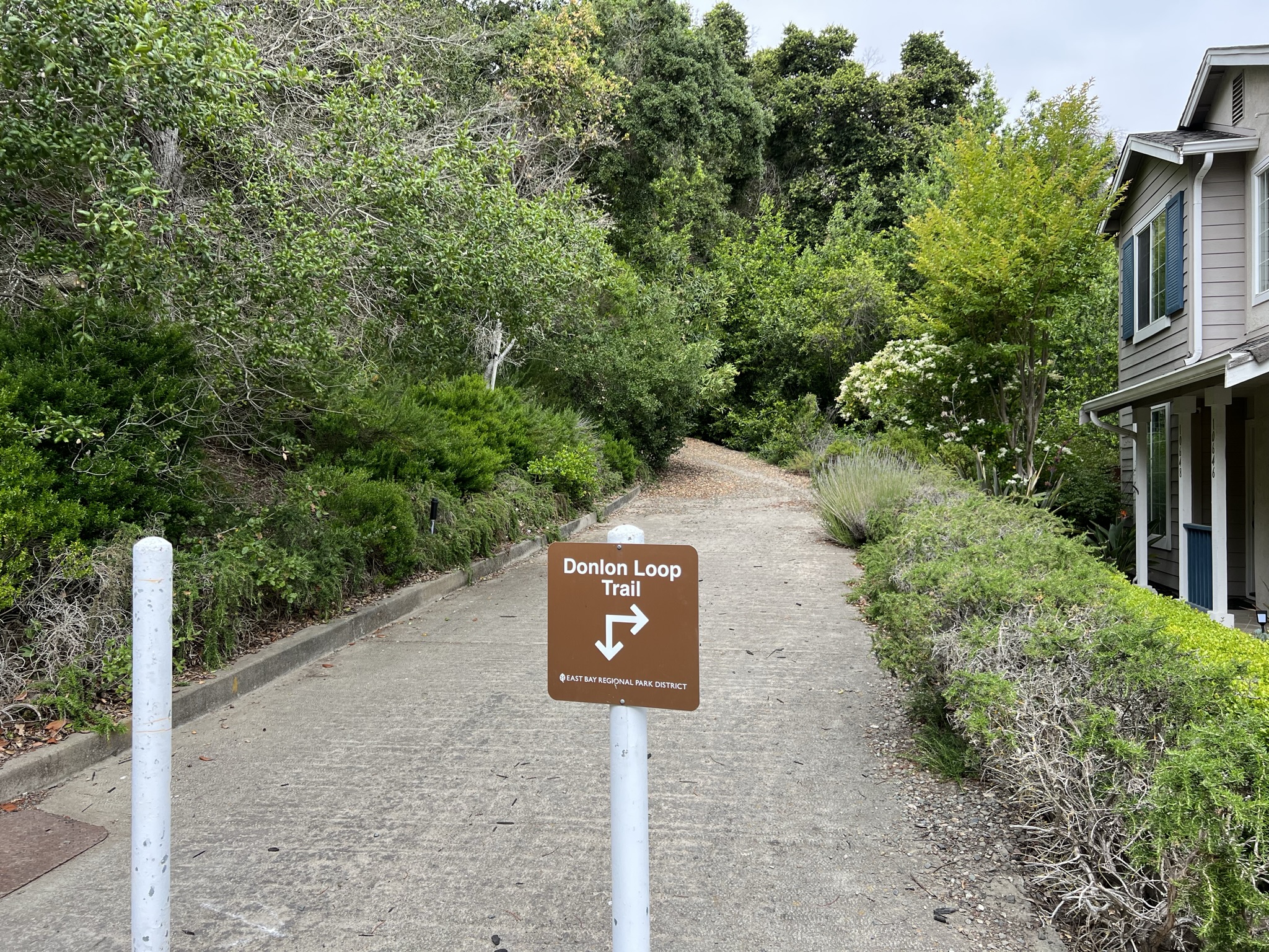 从另一侧又要上山