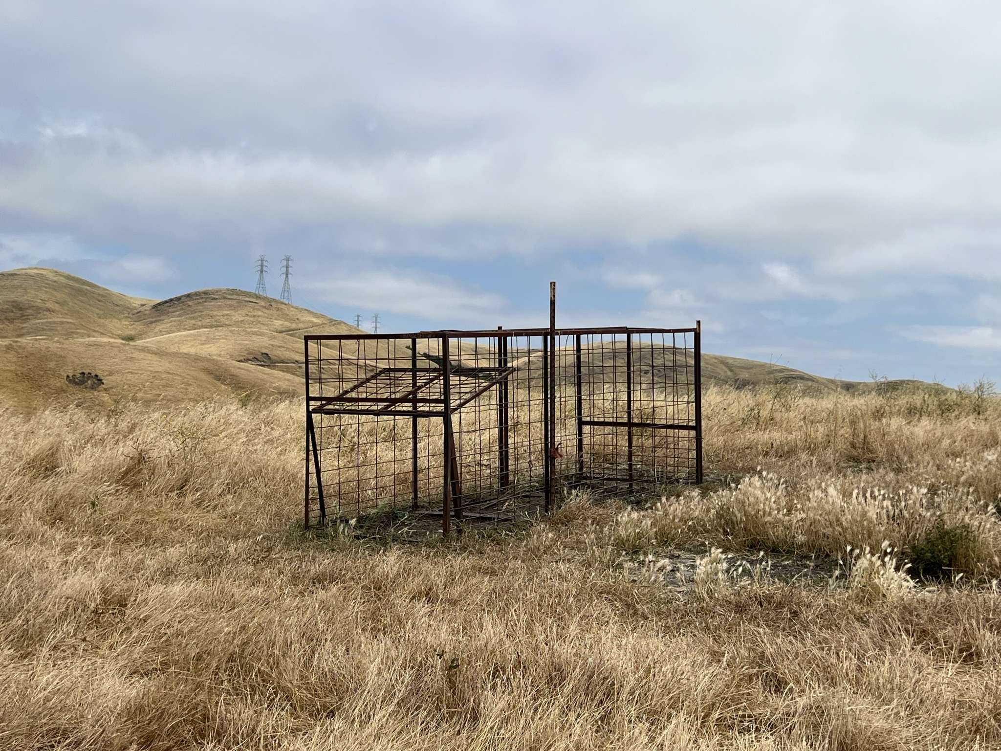 不知道这个笼子是干啥的