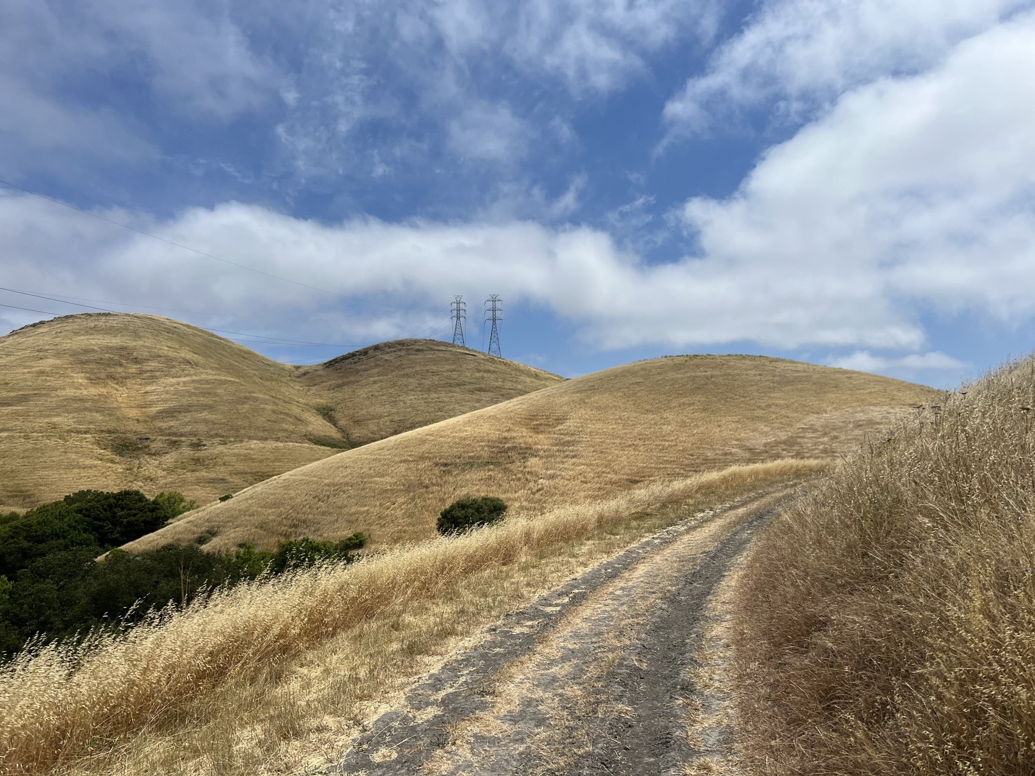 前面的电线杆是终点