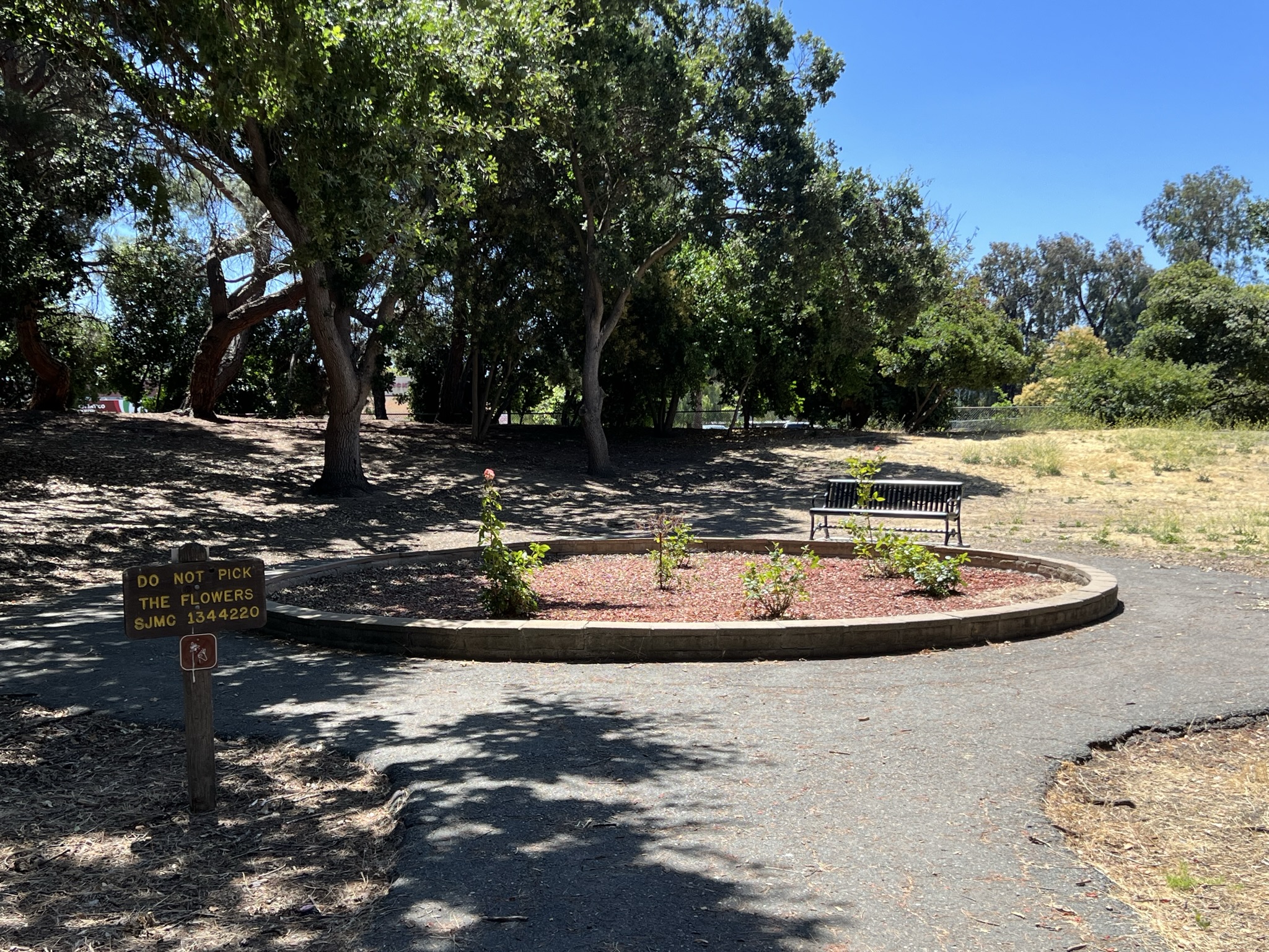写着“不要摘花”，但是几乎已经没有花了