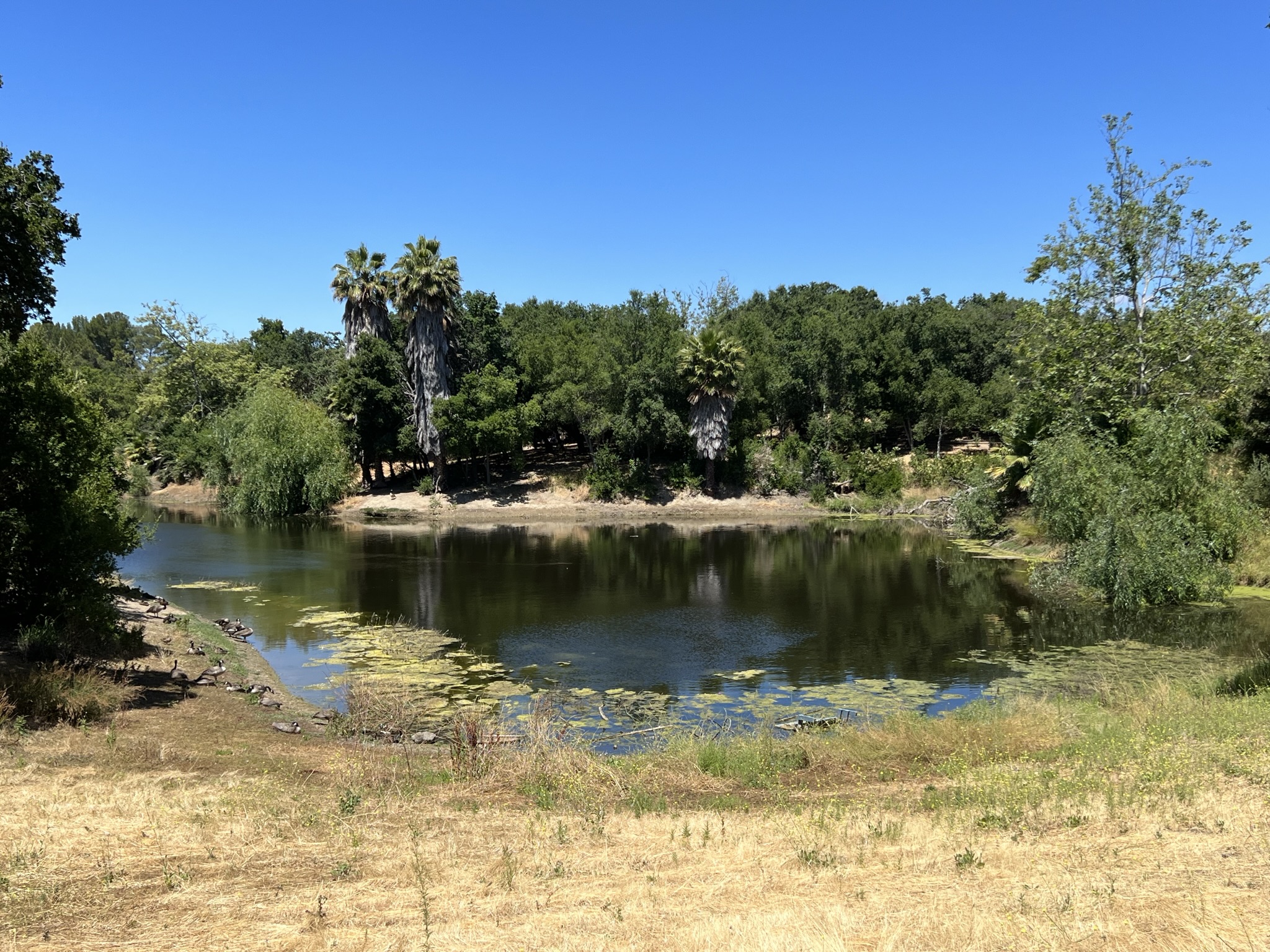 孙中山纪念堂前的湖