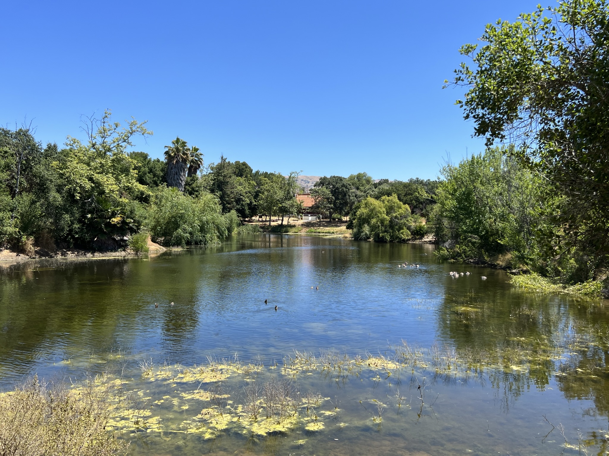 孙中山纪念堂前的湖，风水很好，可惜缺乏修缮，有点破败了