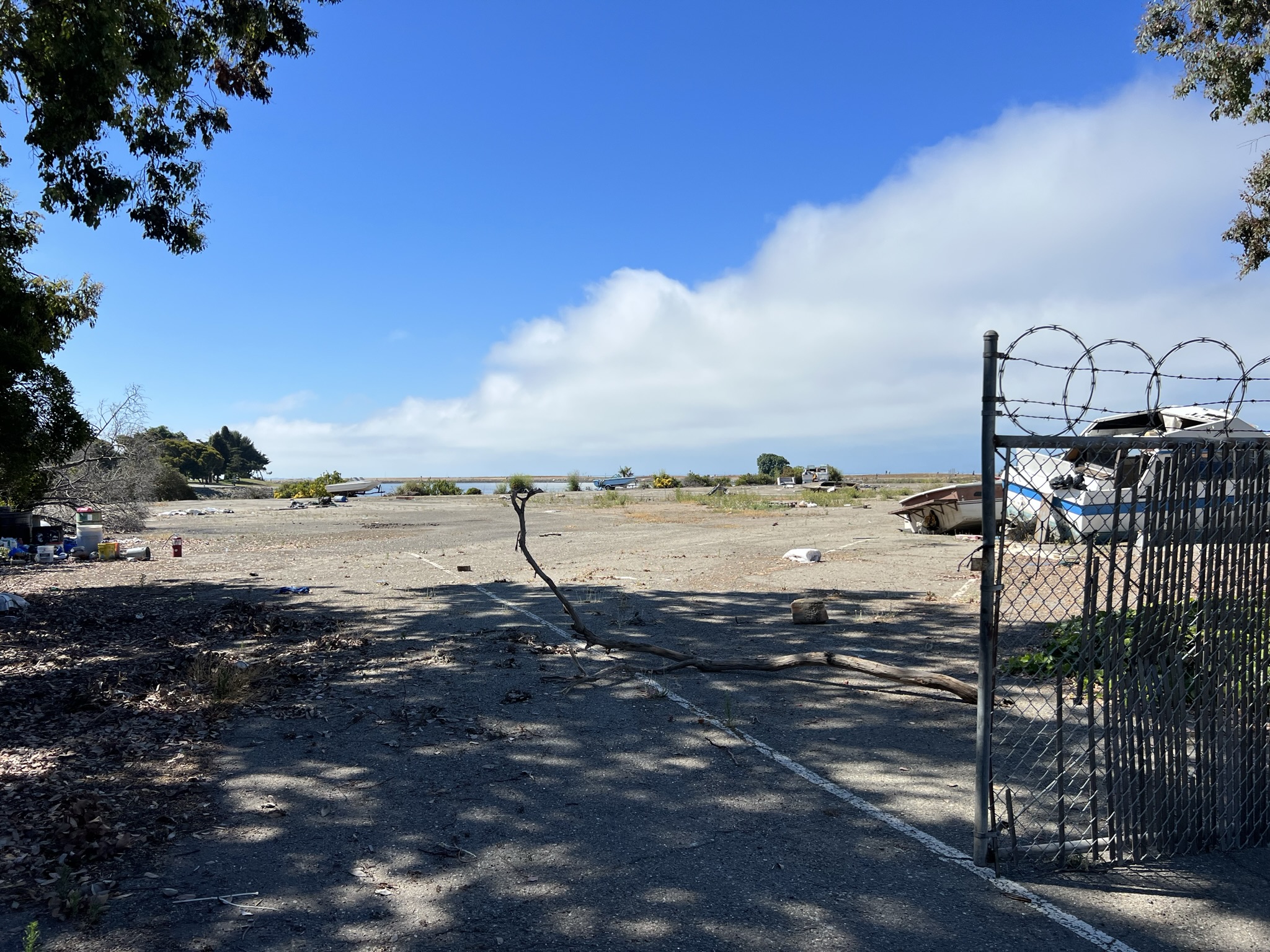 这个地方有很多废弃的船只