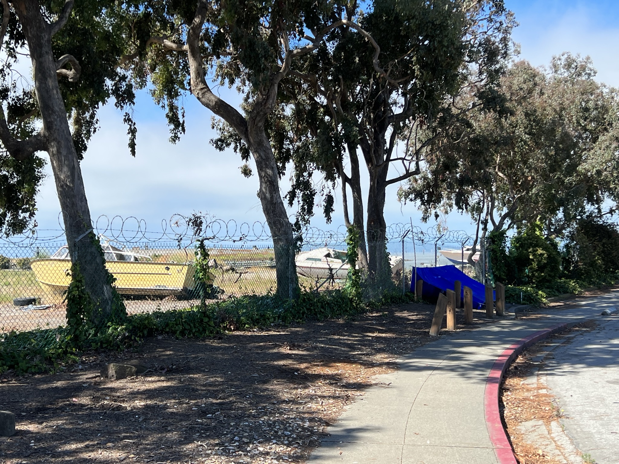 这个地方有很多废弃的船只