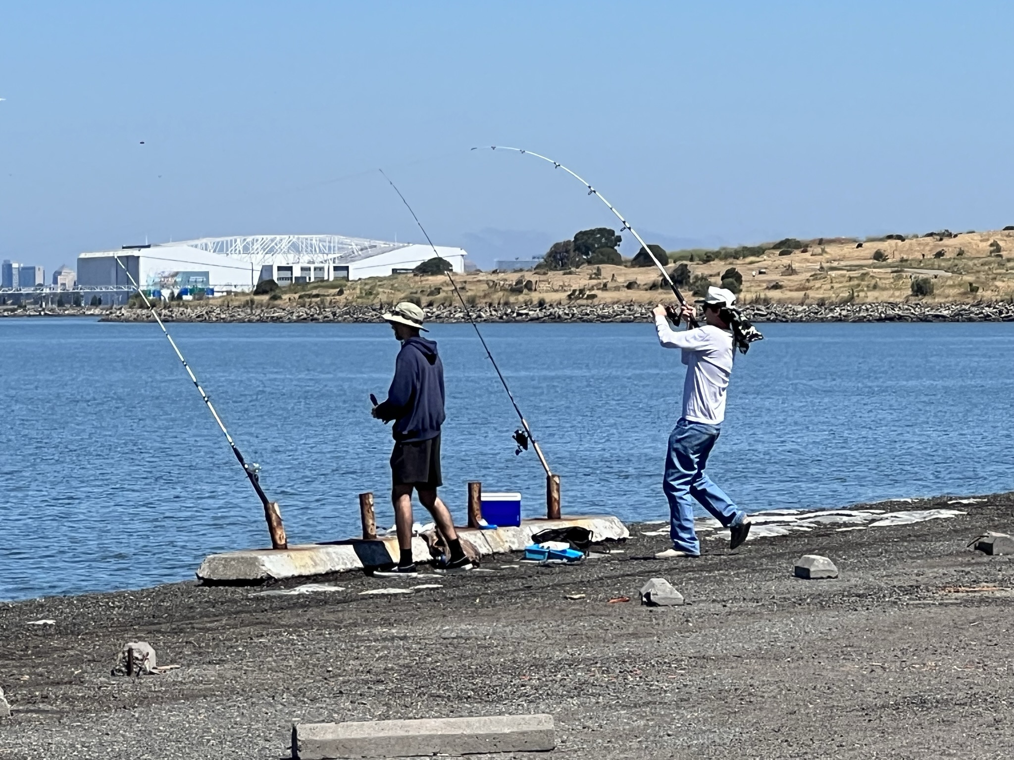 钓鱼佬钓到一条鲨鱼