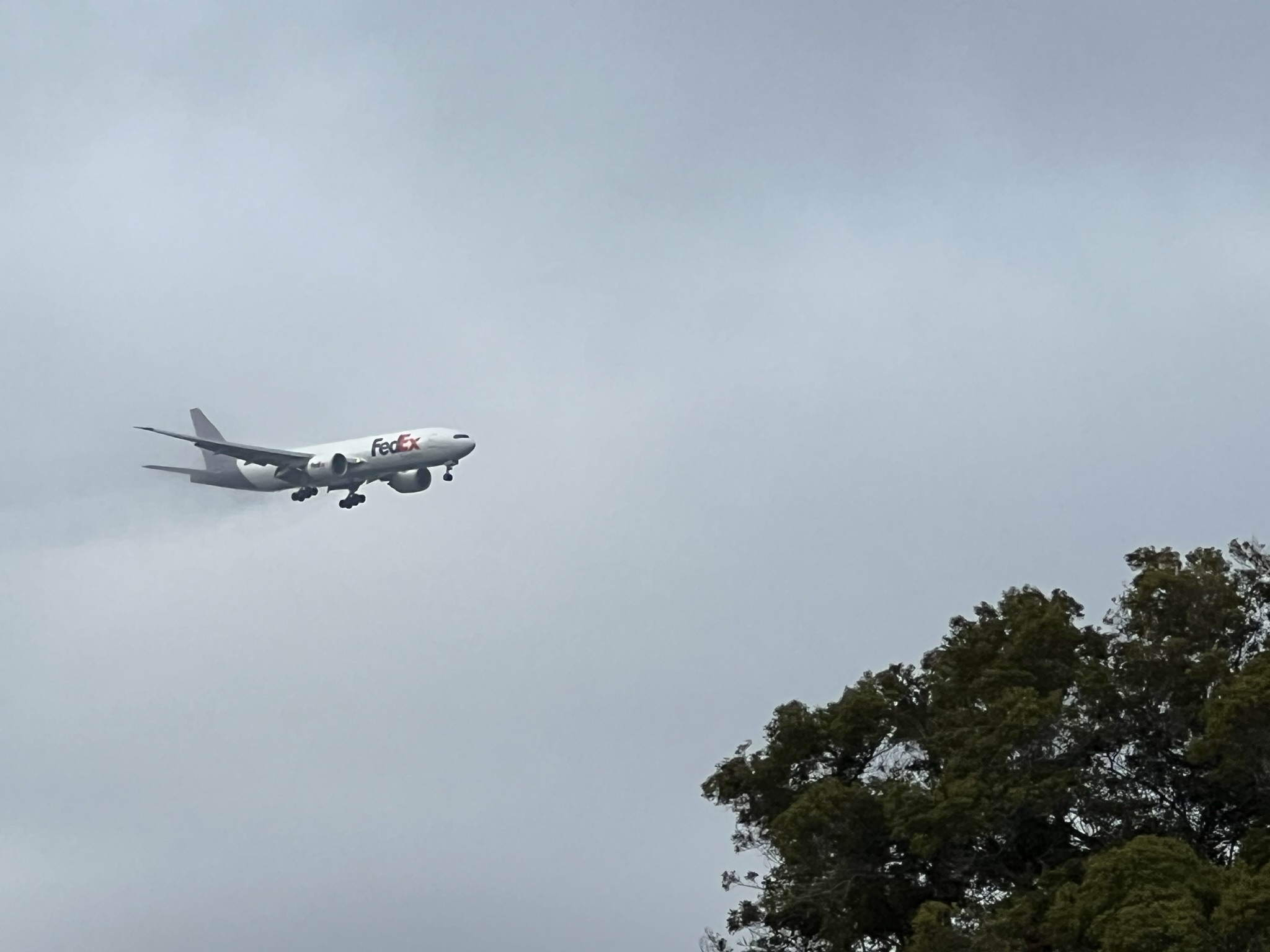 FedEx 的货机