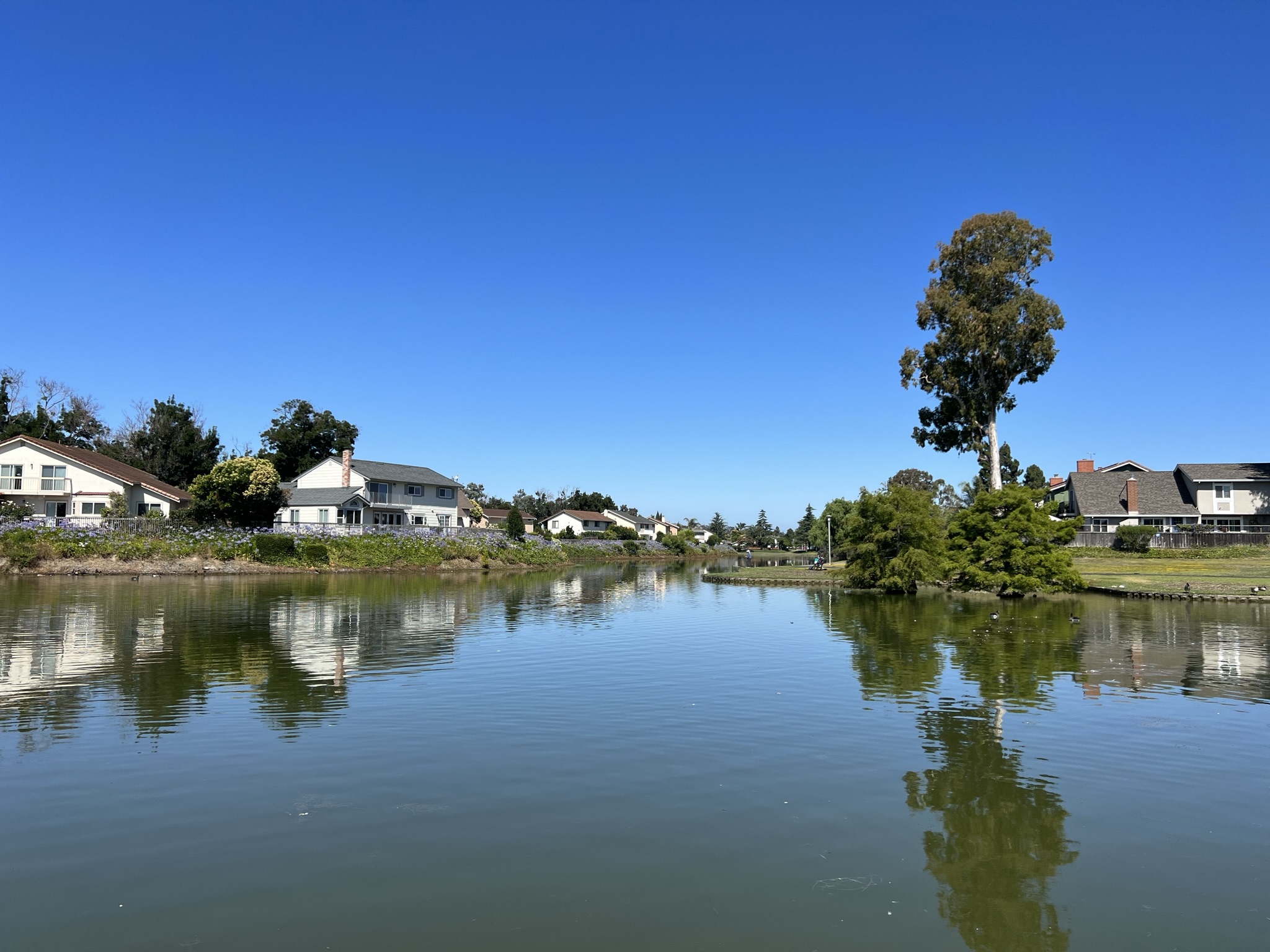 这里的居住一定很舒适