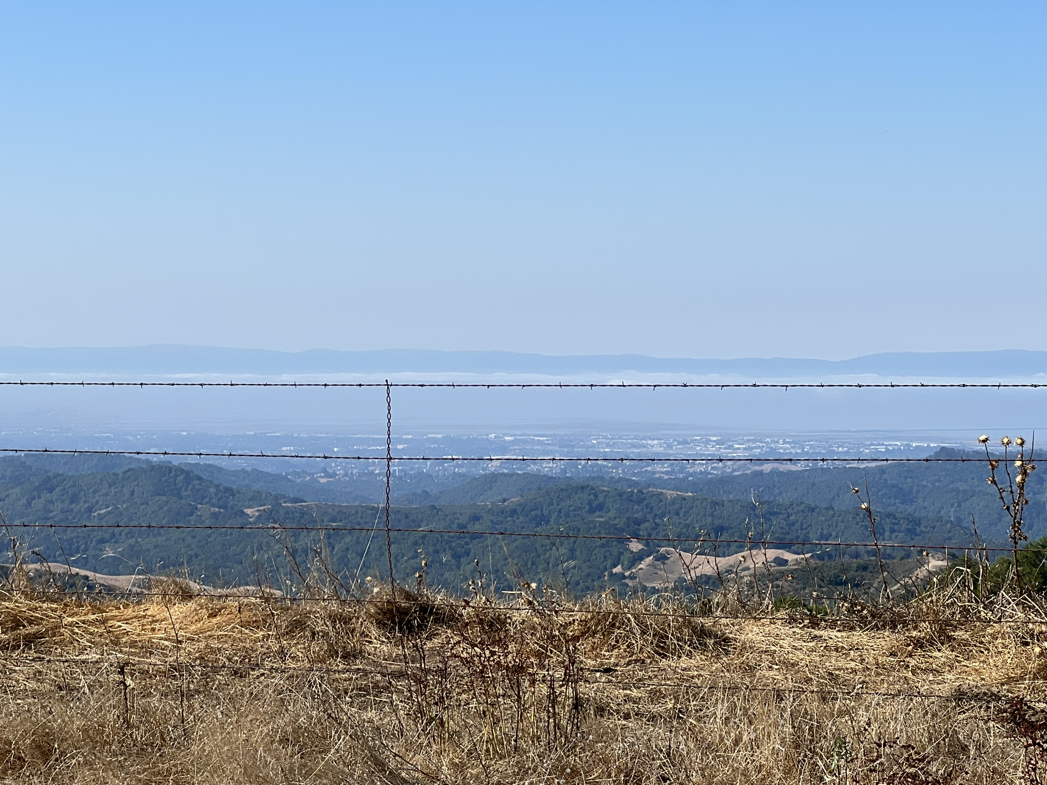 对面似乎是奥克兰