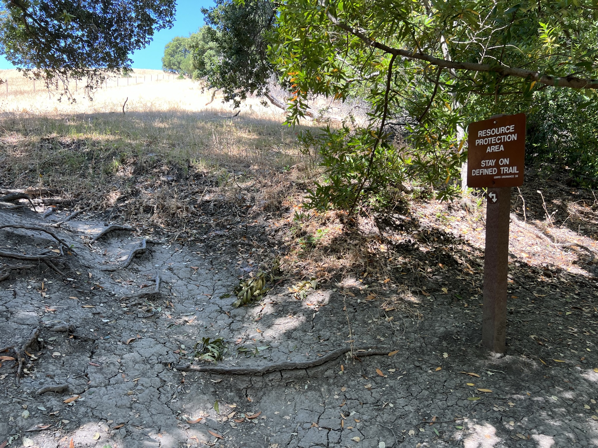 Bollinger Creek Loop Trail 非常难走