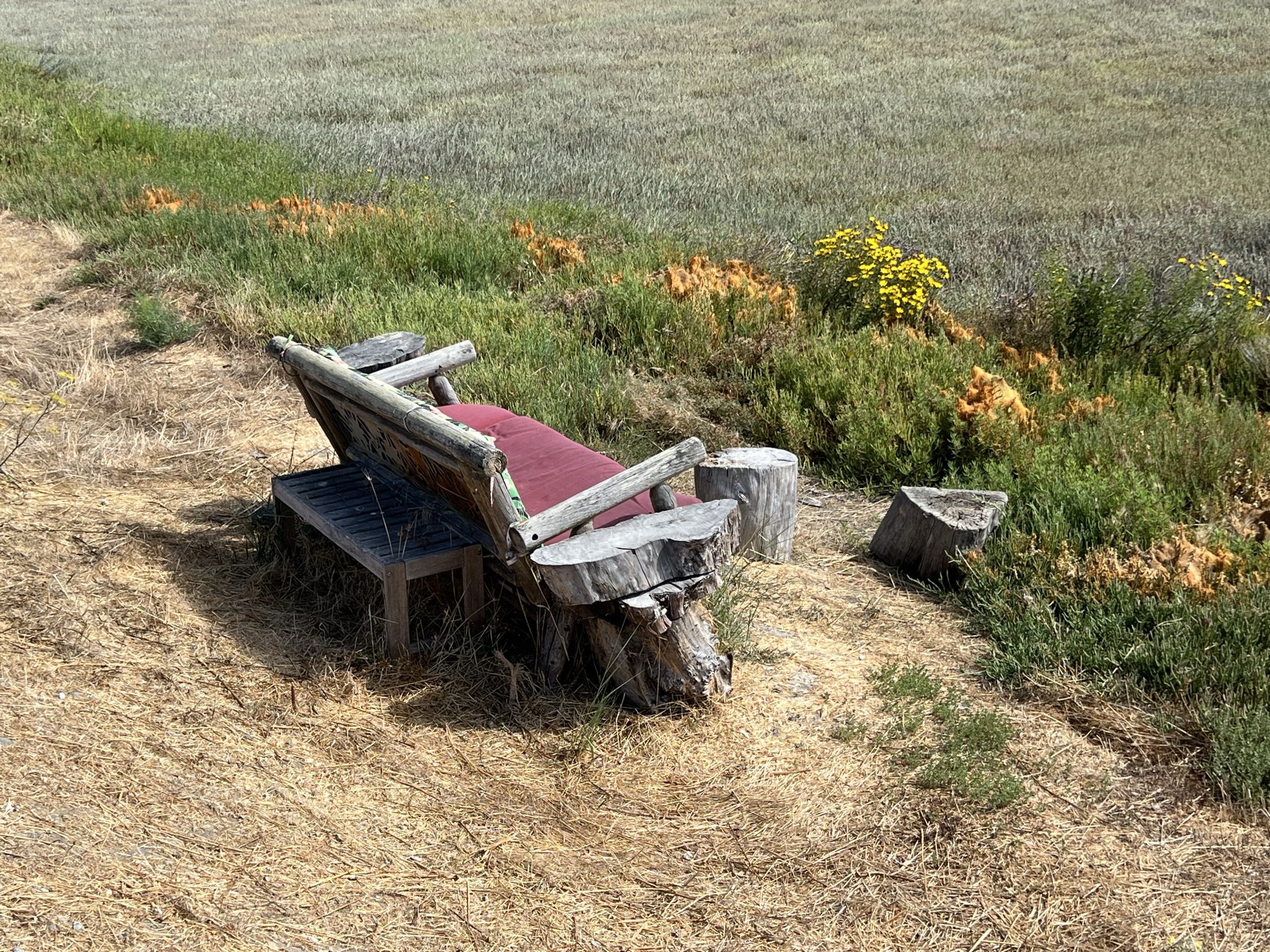 座位上居然有坐垫