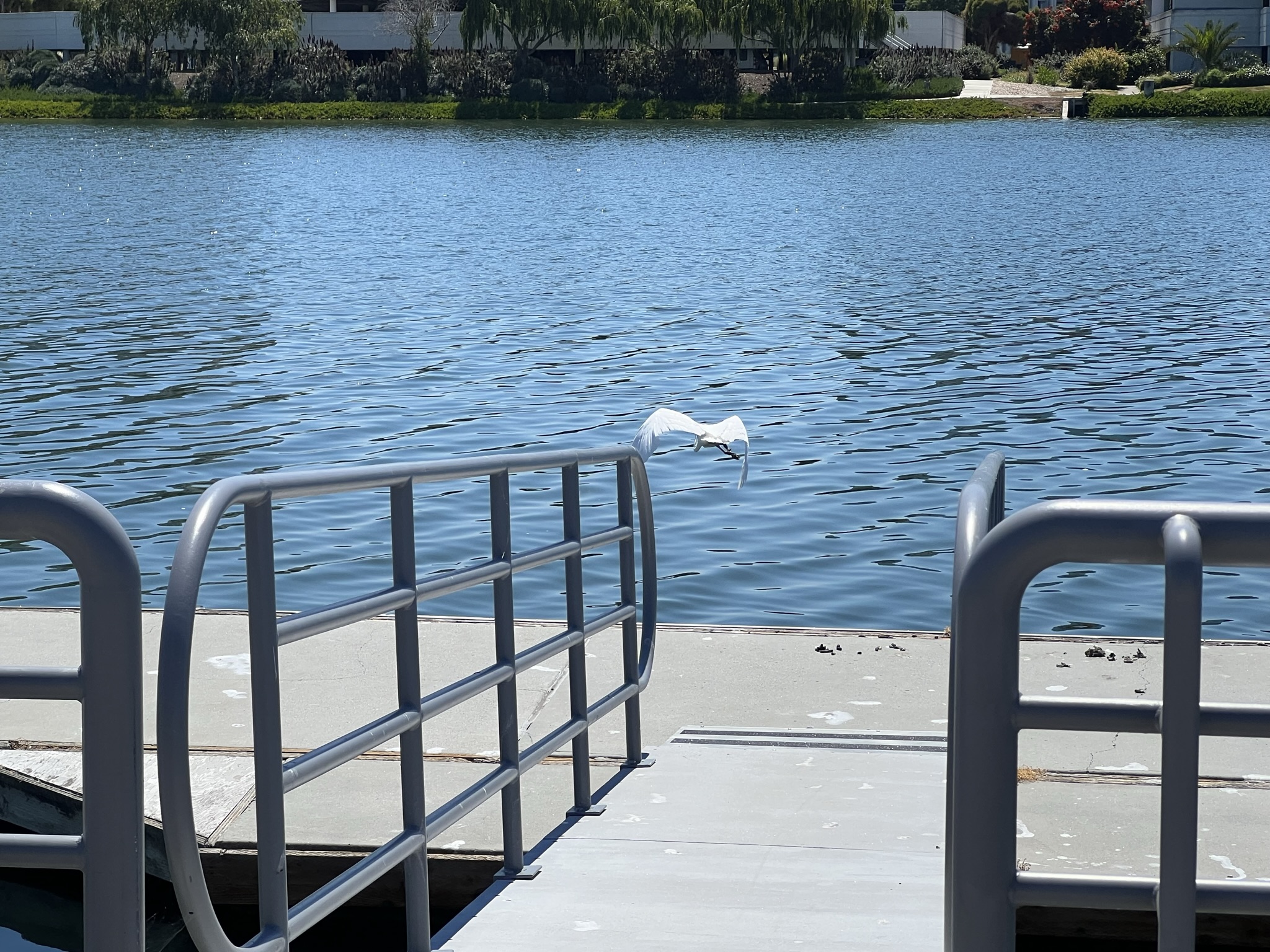 看人过来就吓跑了