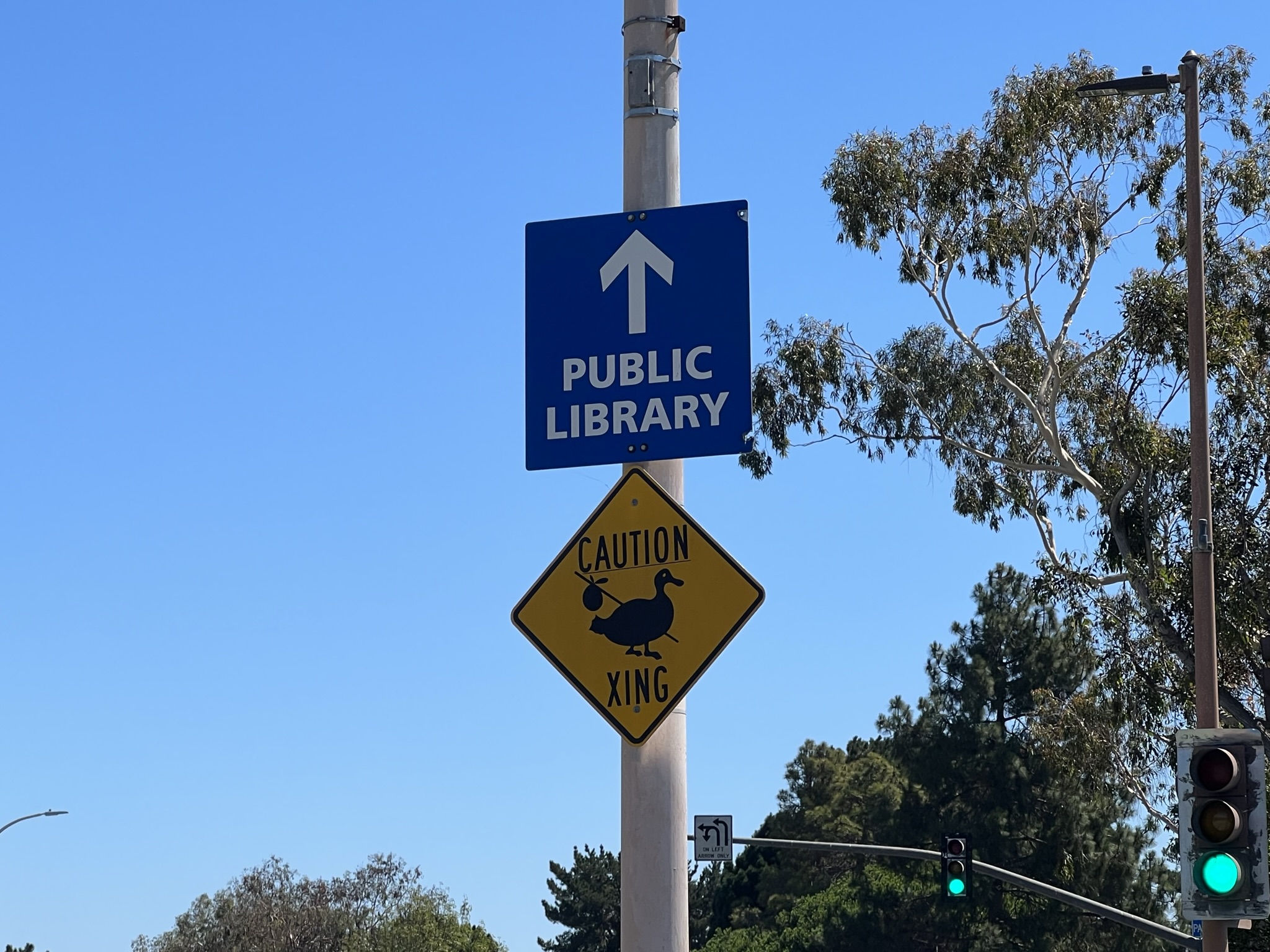 鸭子背个包过马路