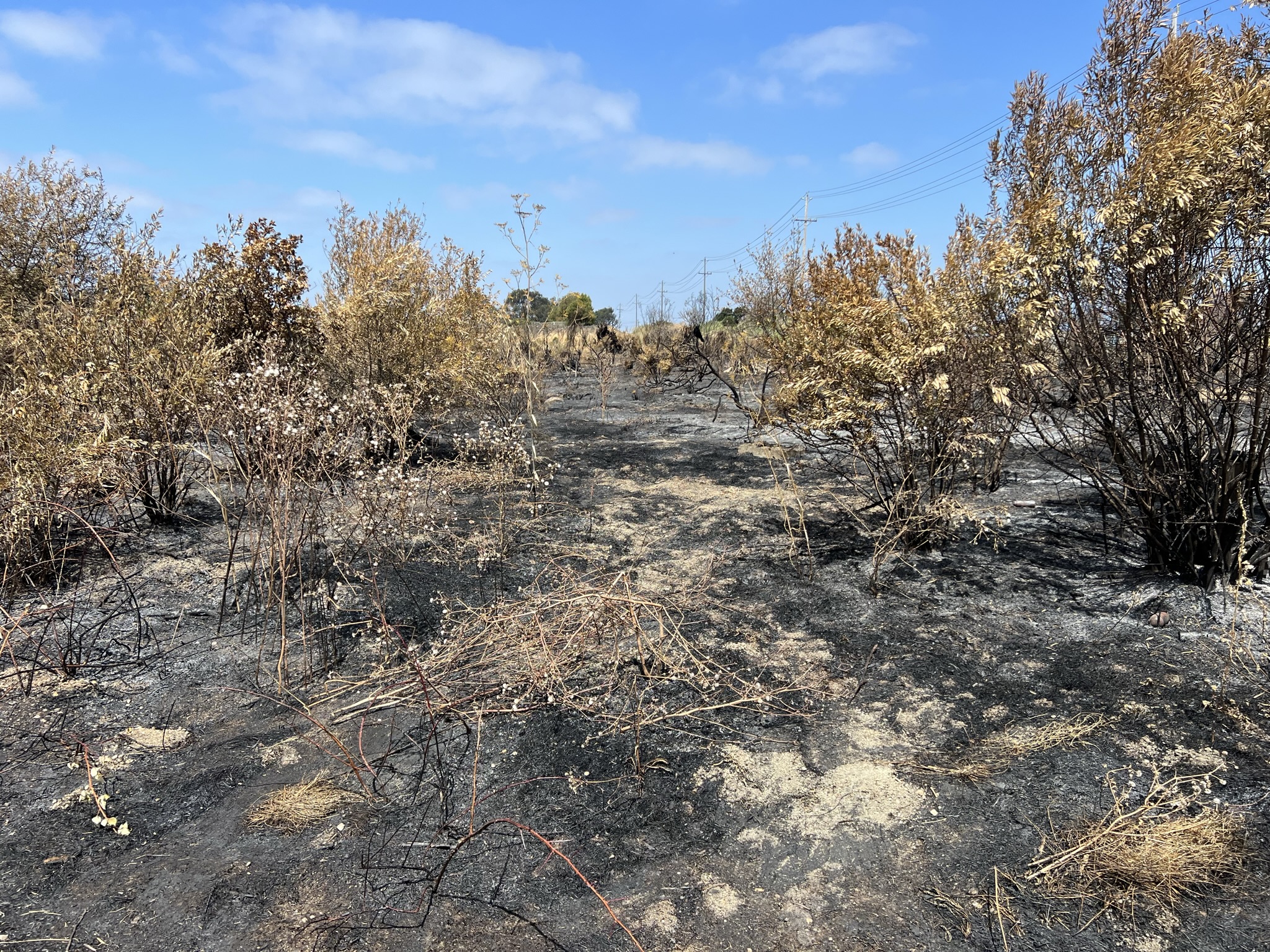 这里曾经发生过火灾