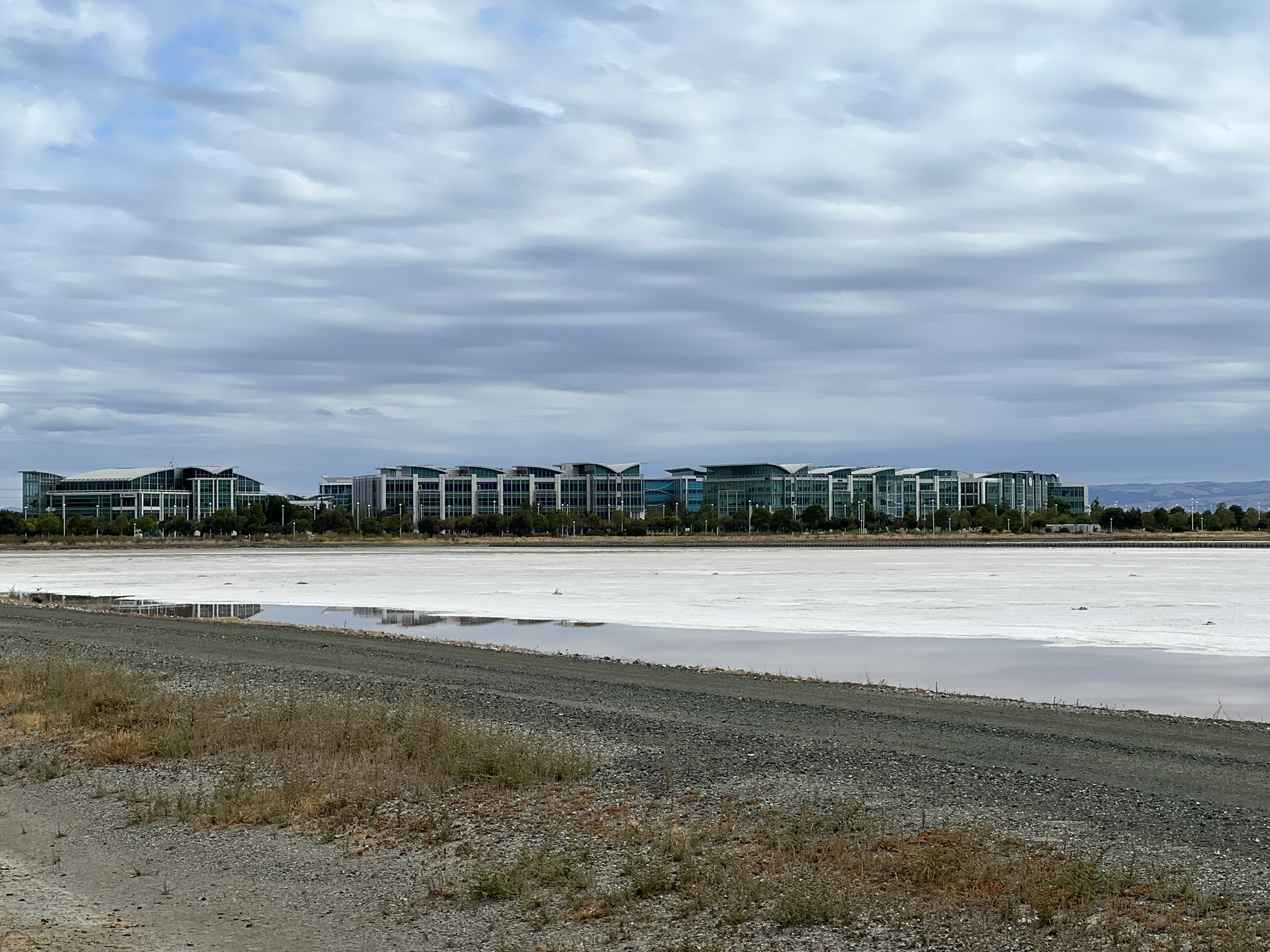 盐田边上的 Google 园区