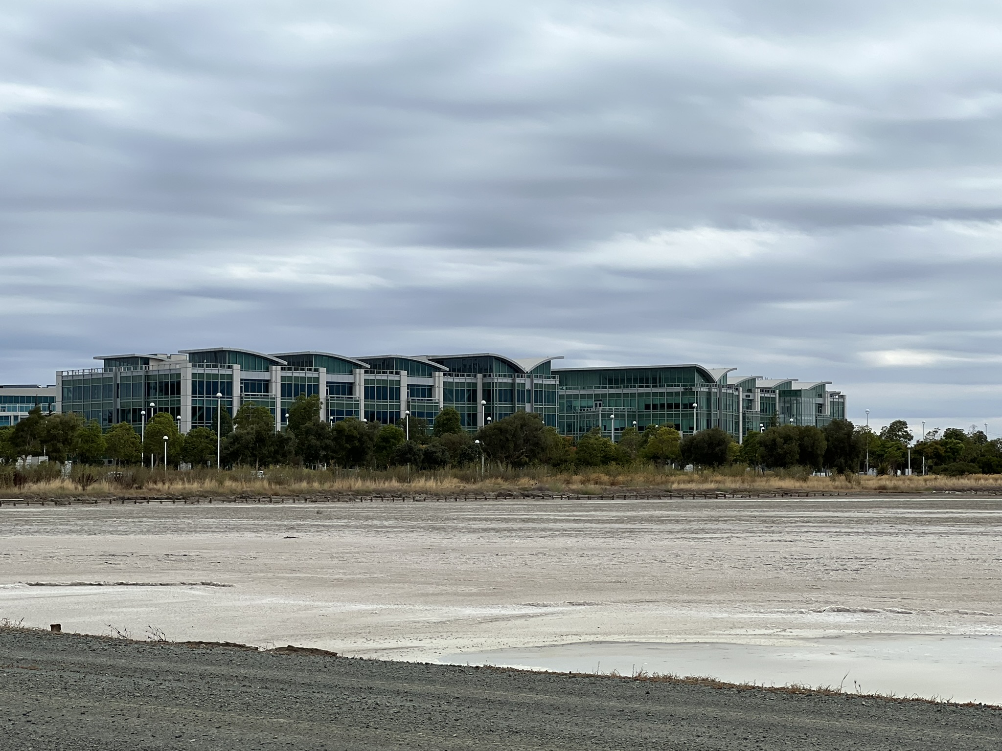 盐田边上的 Google 园区