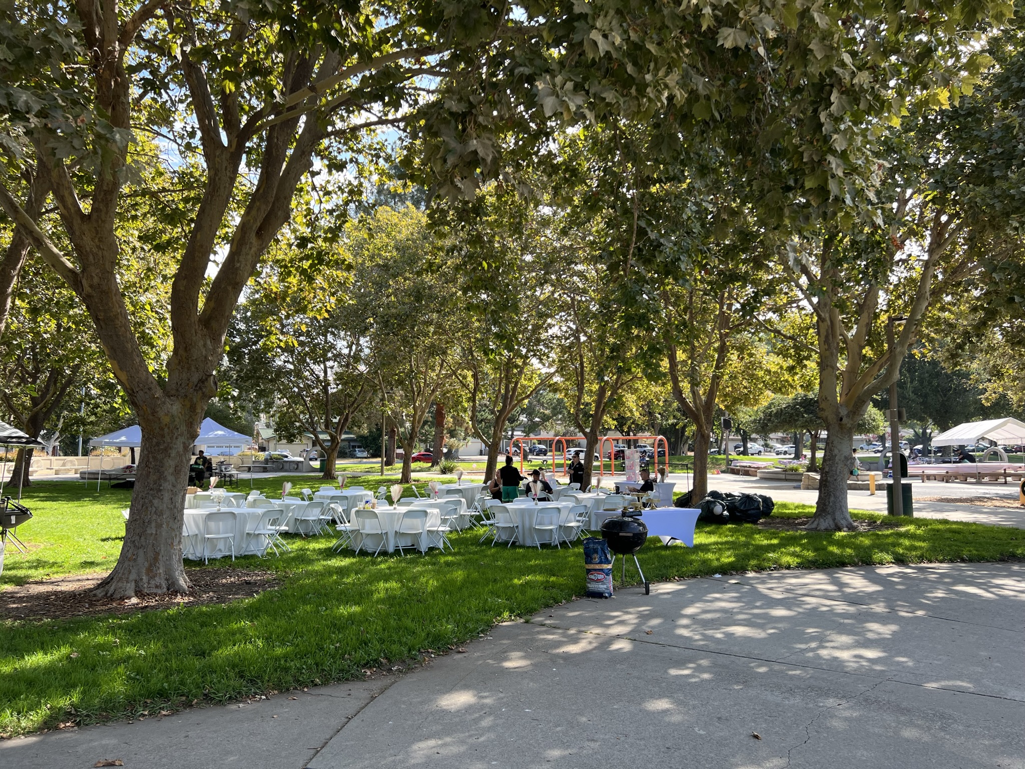 有人在公园里办婚礼