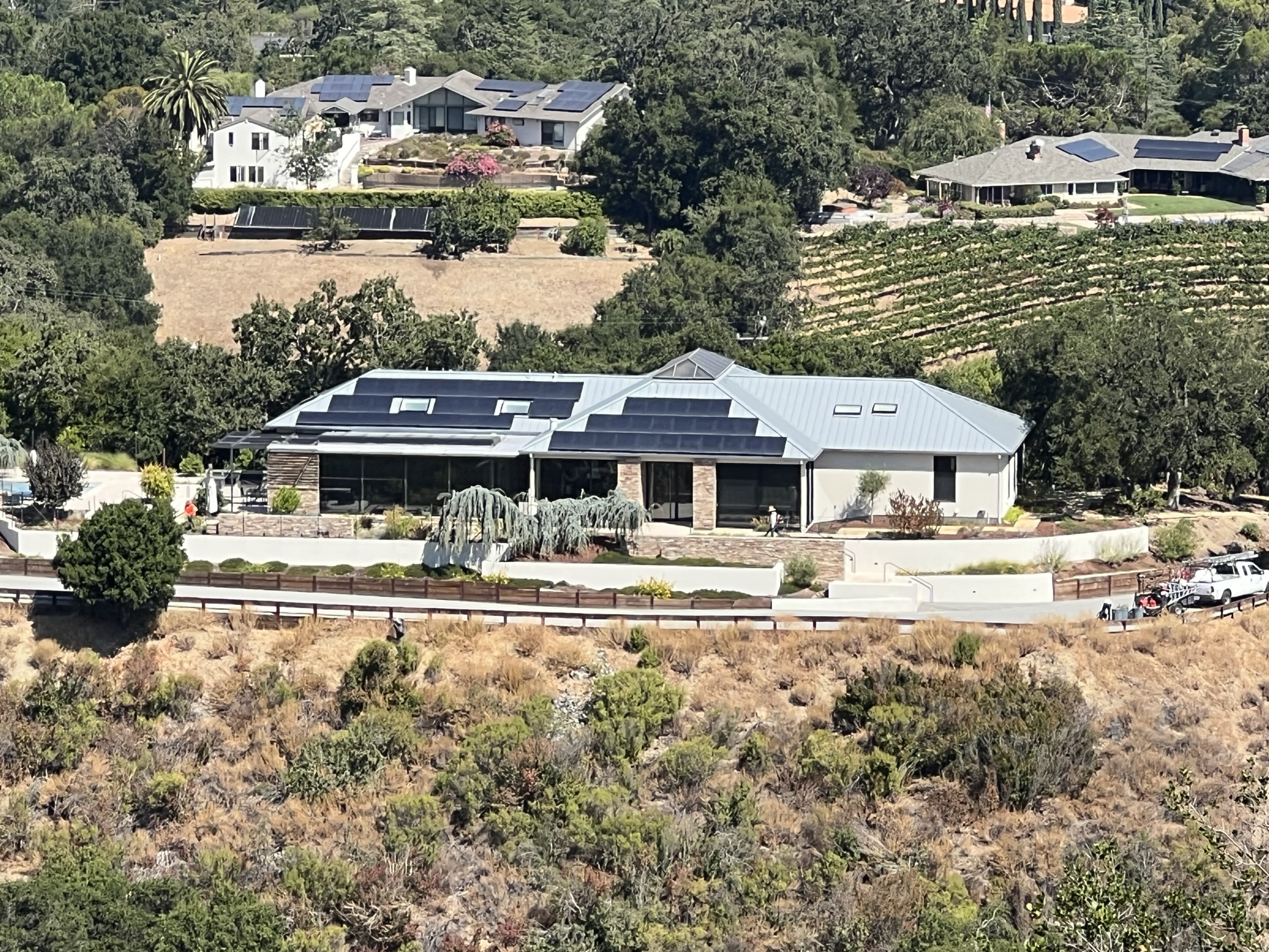 吹叶机，人类的祸害