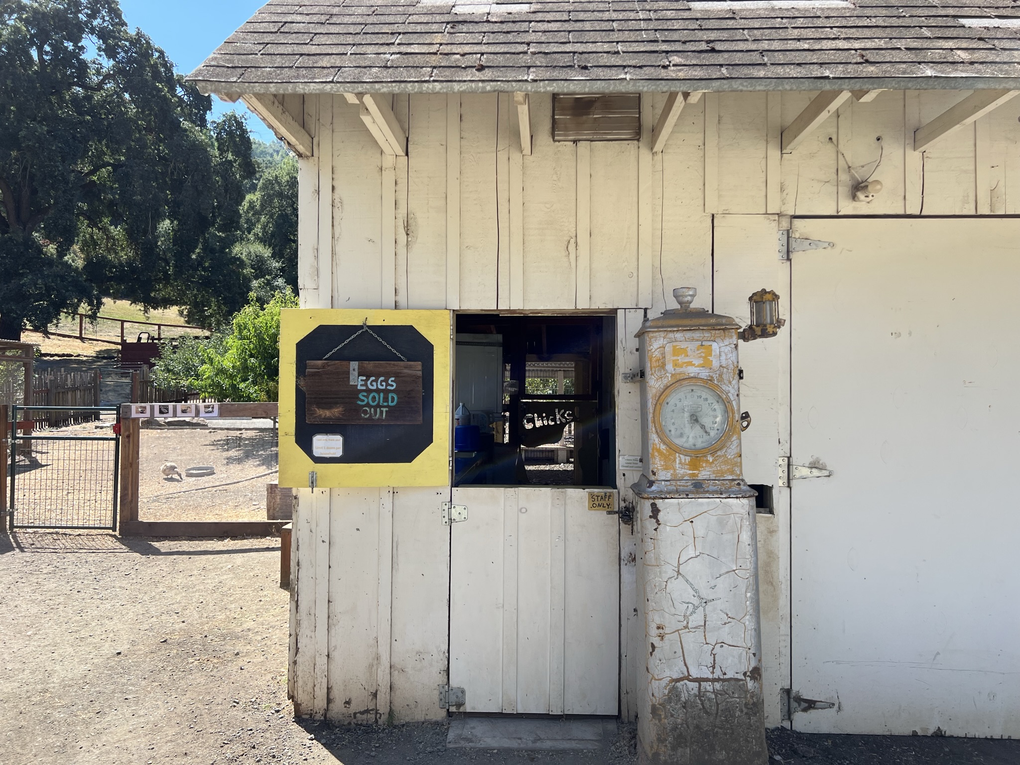 土鸡蛋已经卖完了