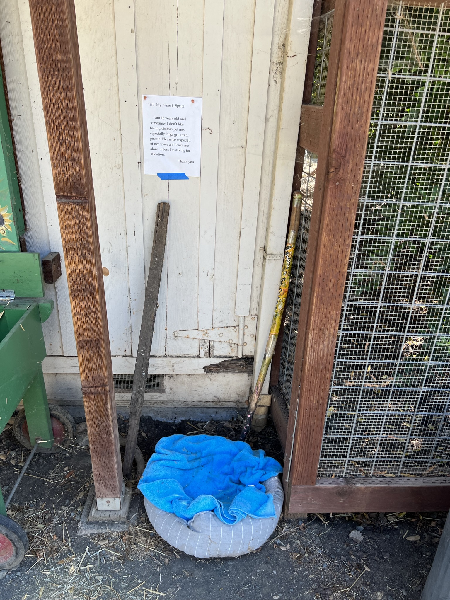 这是一个猫炕吗