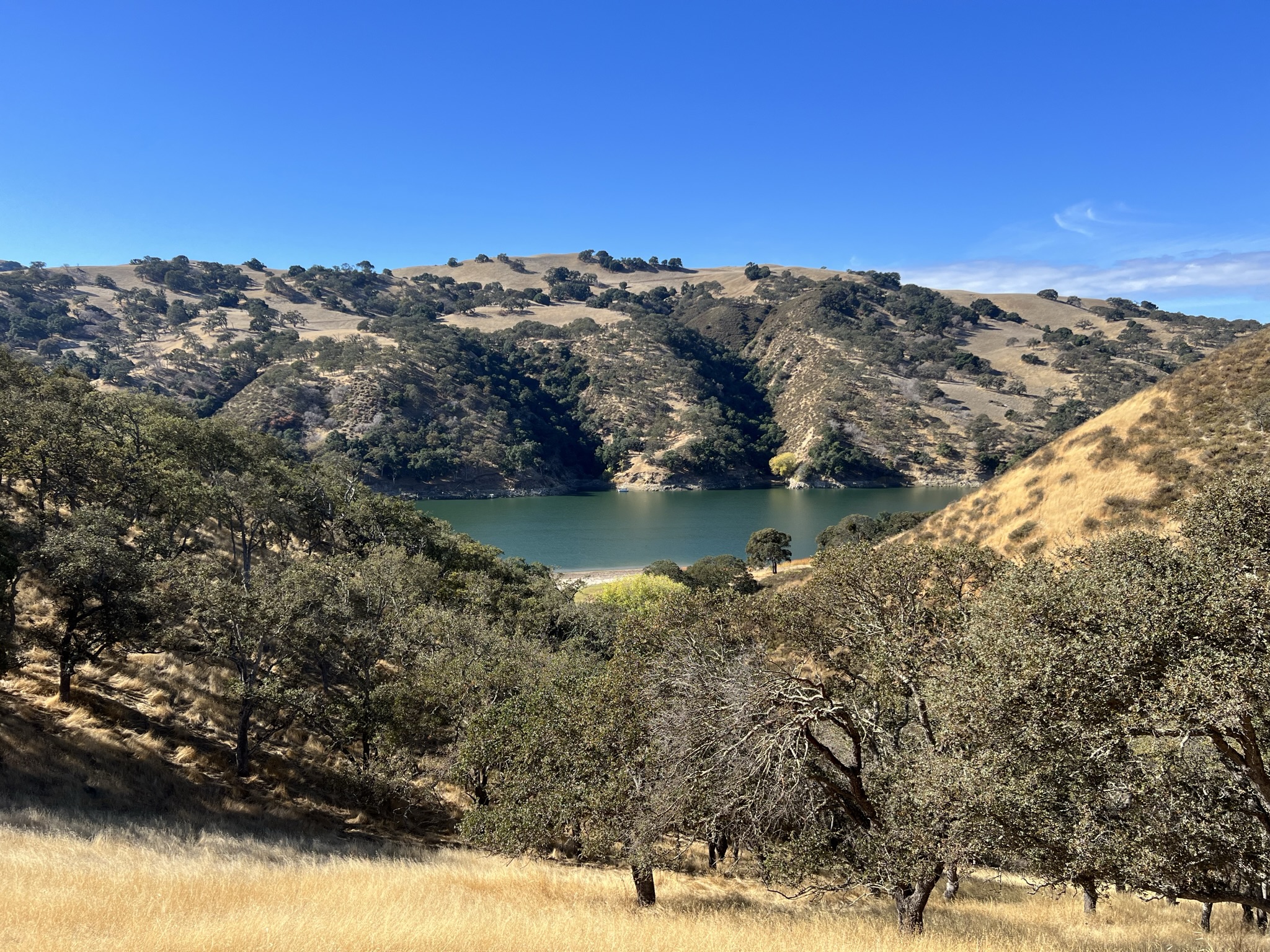 Lake Del Valle