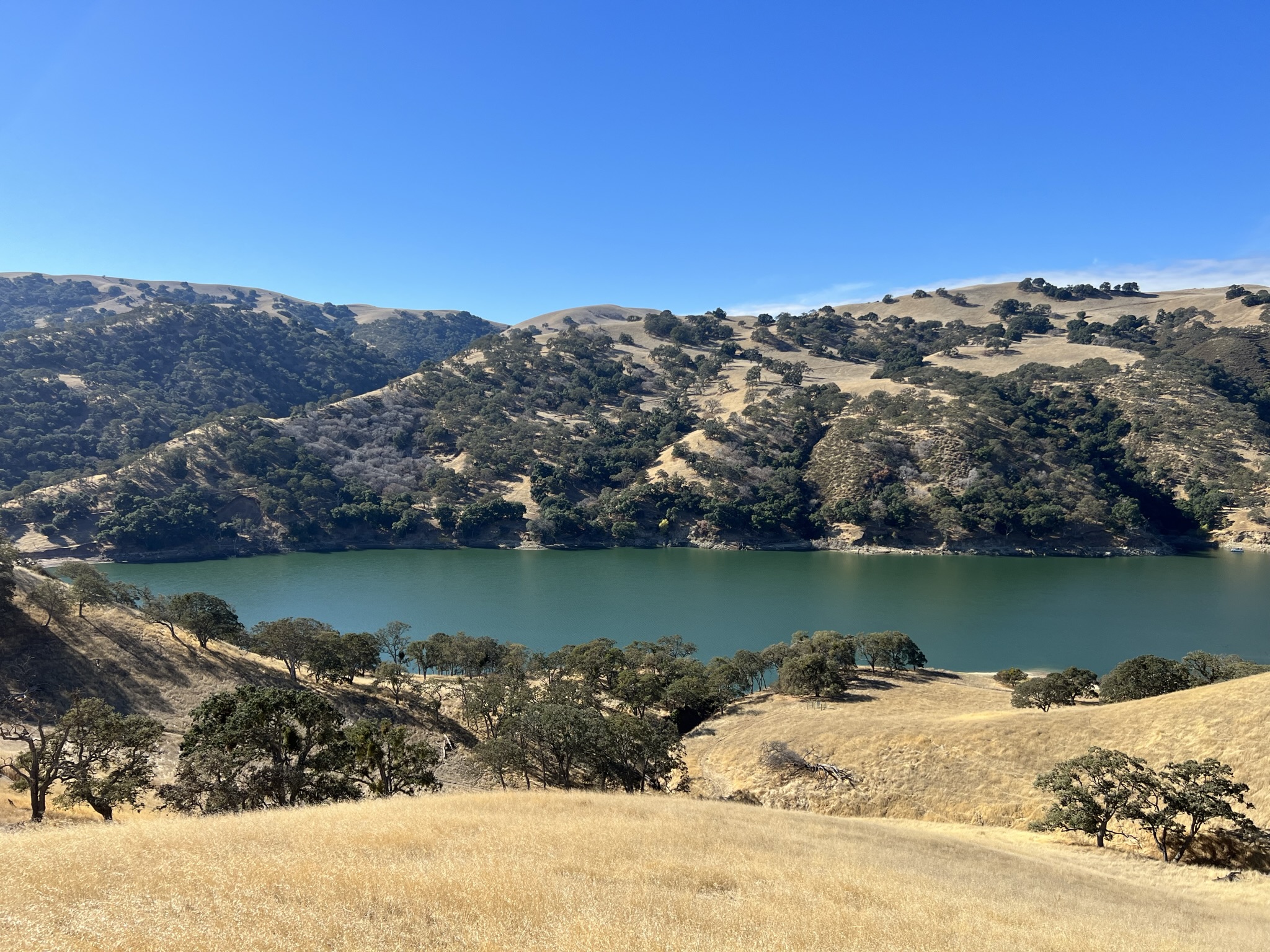 Lake Del Valle
