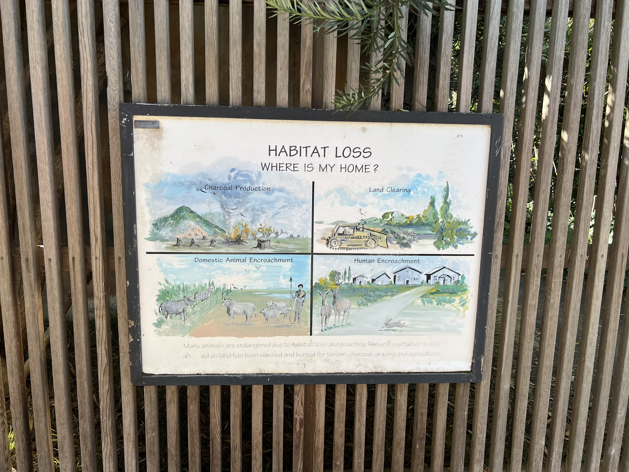 Habit Loss