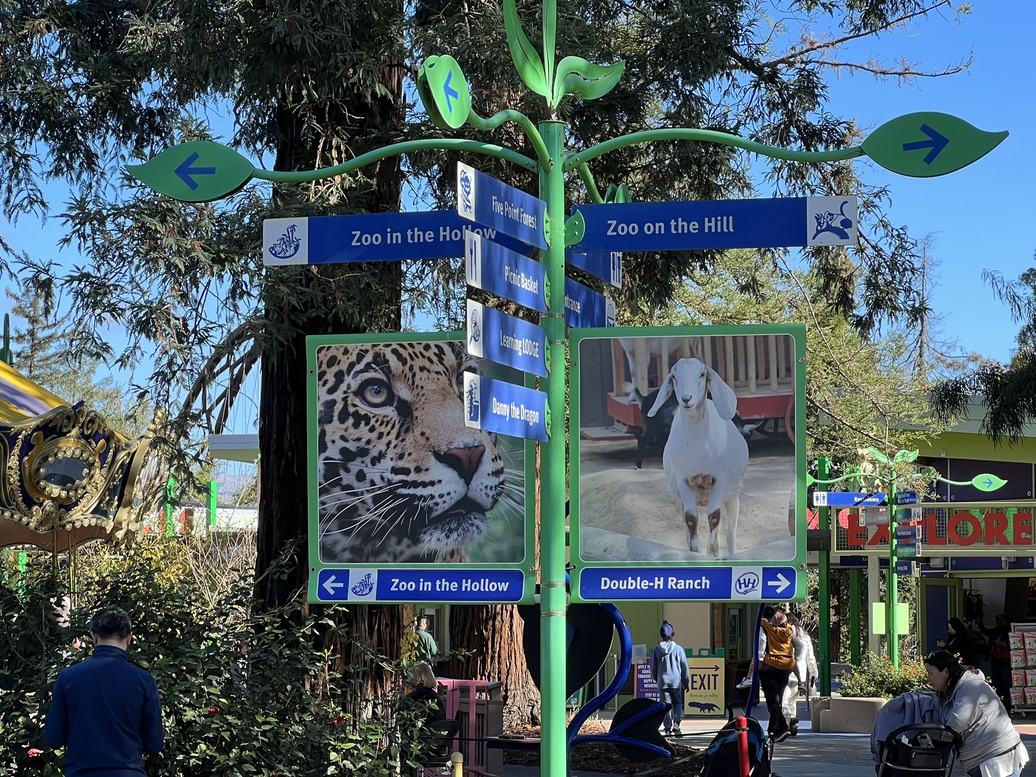 动物园分成两块