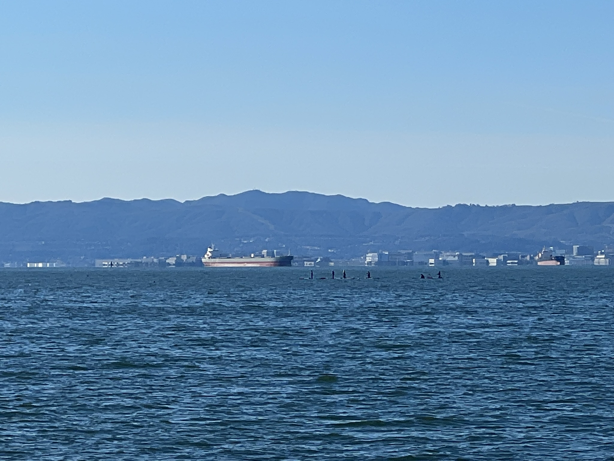 货轮和冲浪的人