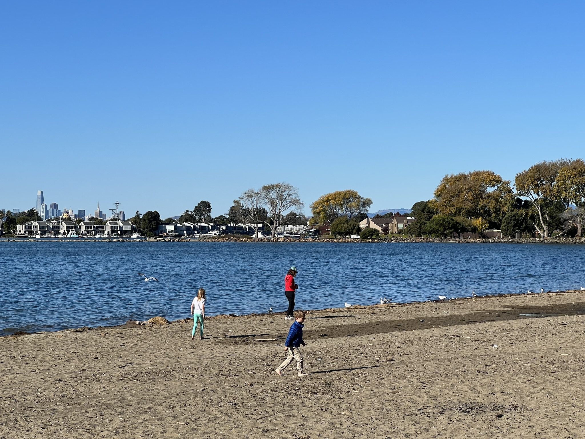 海边玩耍的一家