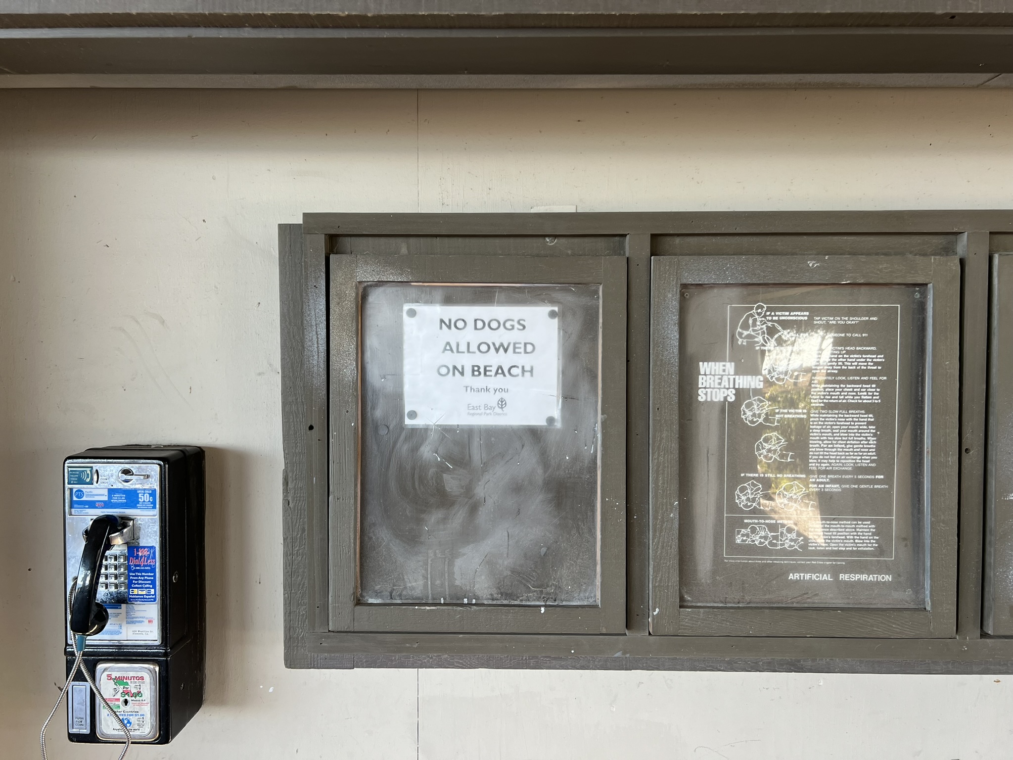 沙滩上不允许带狗